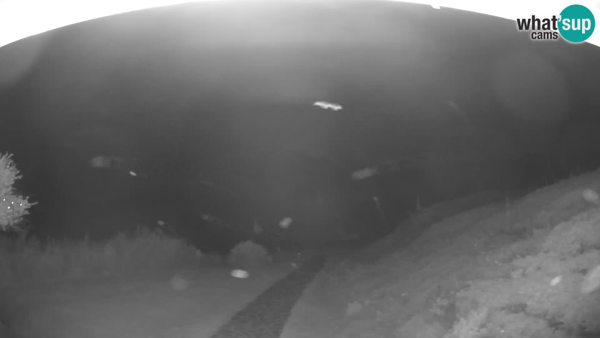 Camera en vivo playa Poglina – Da Ricciolina – Alghero – Cerdeña