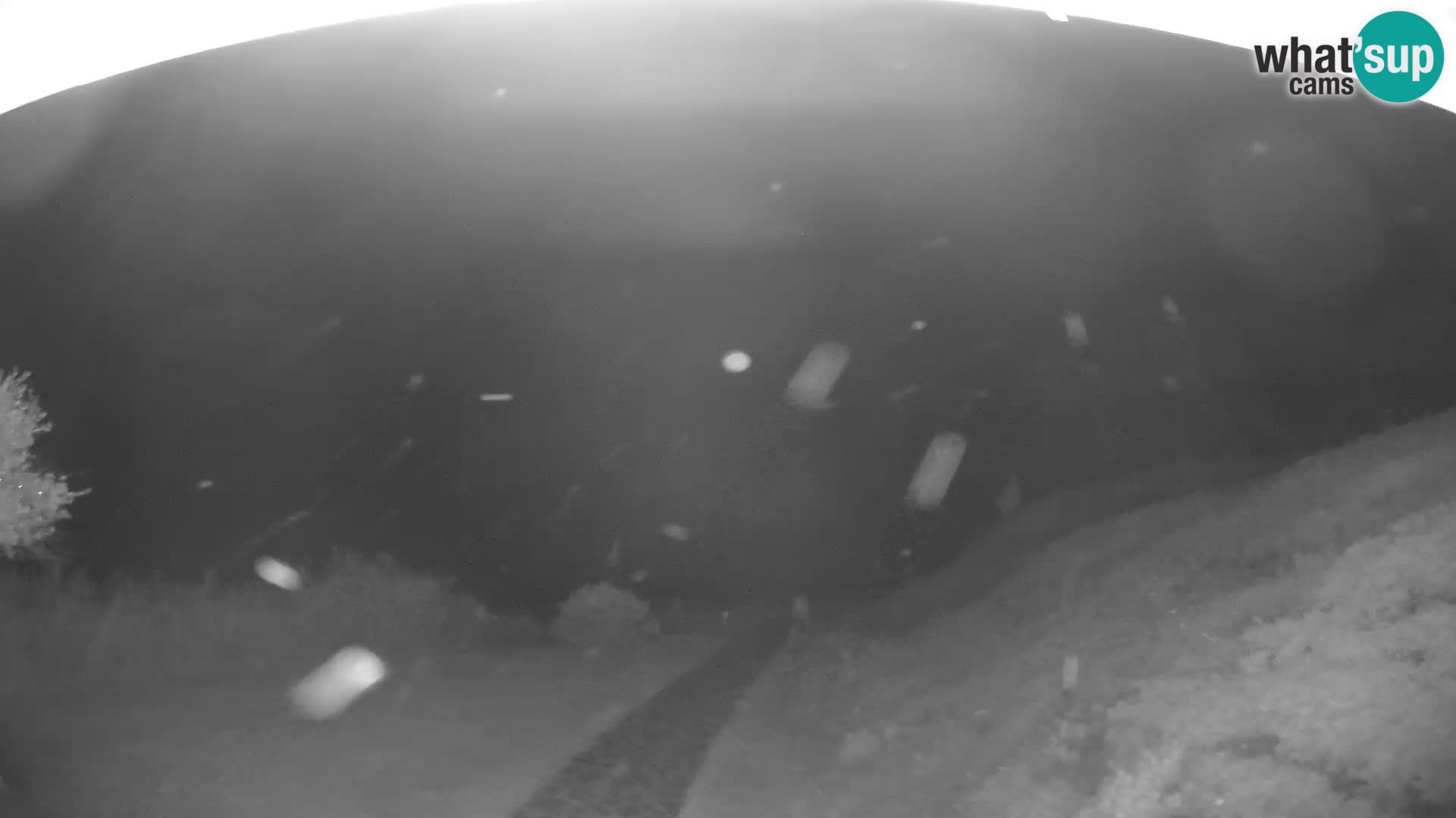 Webcam Strand von Poglina – Blick von der Bar Da Ricciolina – Alghero – Sardinien