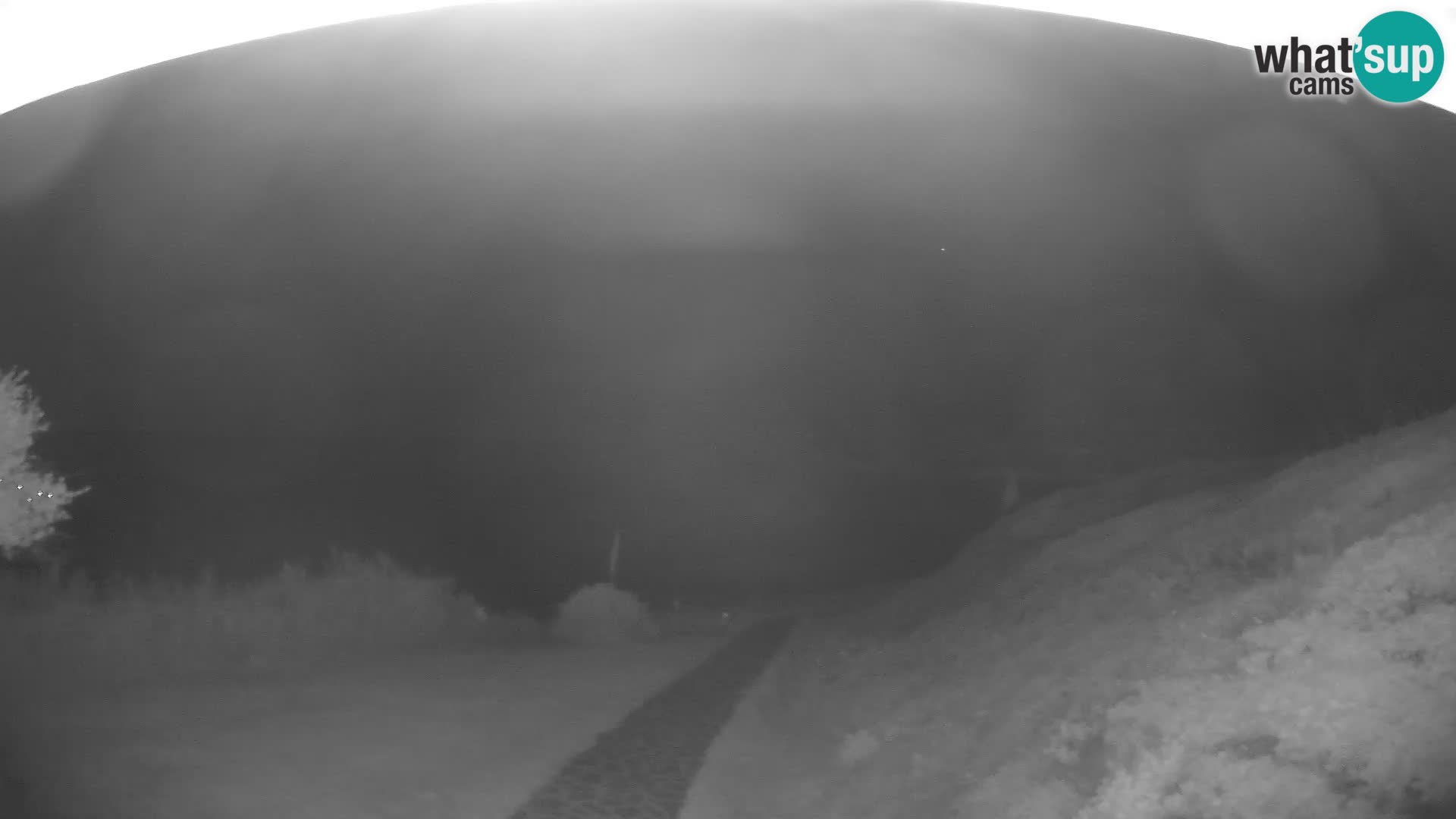 Webcam Strand von Poglina – Blick von der Bar Da Ricciolina – Alghero – Sardinien