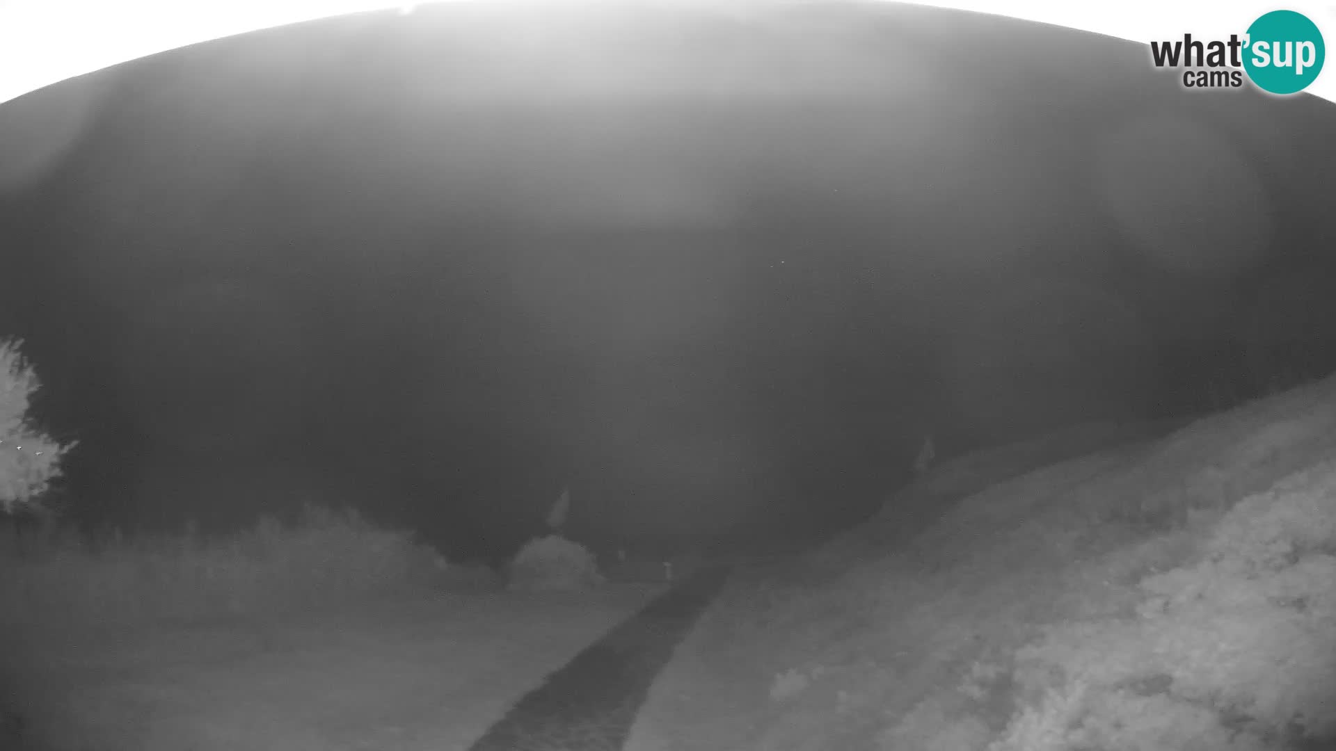 Webcam Strand von Poglina – Blick von der Bar Da Ricciolina – Alghero – Sardinien