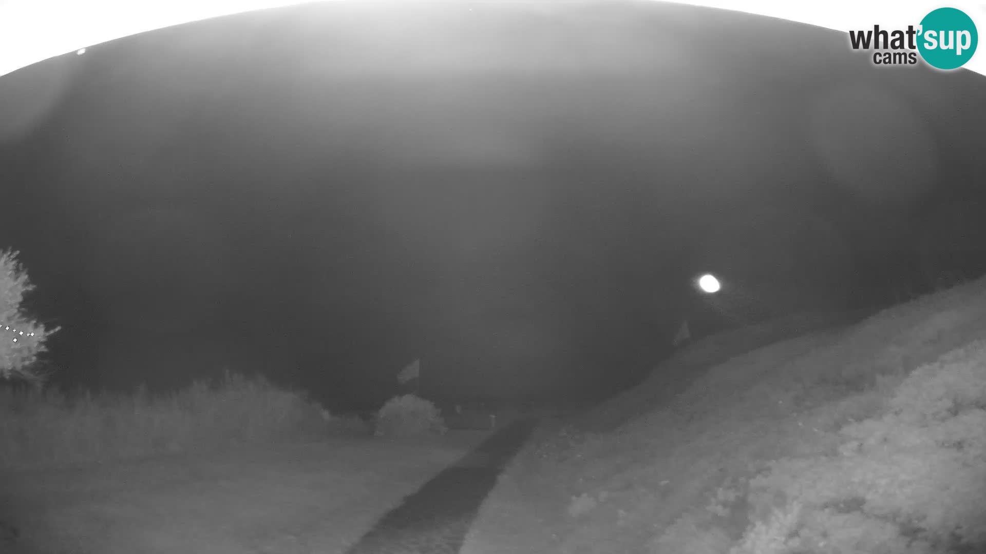 Webcam Strand von Poglina – Blick von der Bar Da Ricciolina – Alghero – Sardinien