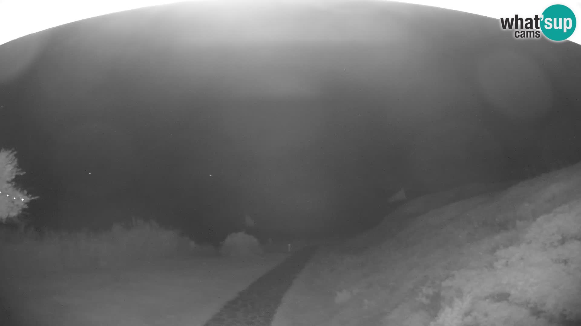 Webcam Strand von Poglina – Blick von der Bar Da Ricciolina – Alghero – Sardinien