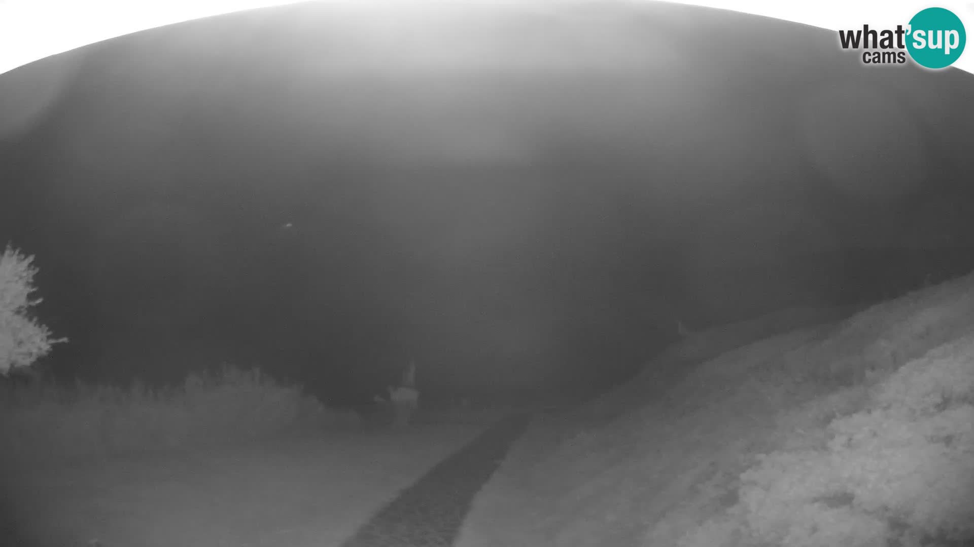 Webcam Strand von Poglina – Blick von der Bar Da Ricciolina – Alghero – Sardinien