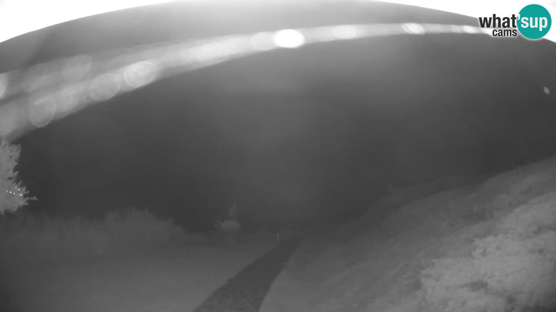 Webcam Strand von Poglina – Blick von der Bar Da Ricciolina – Alghero – Sardinien