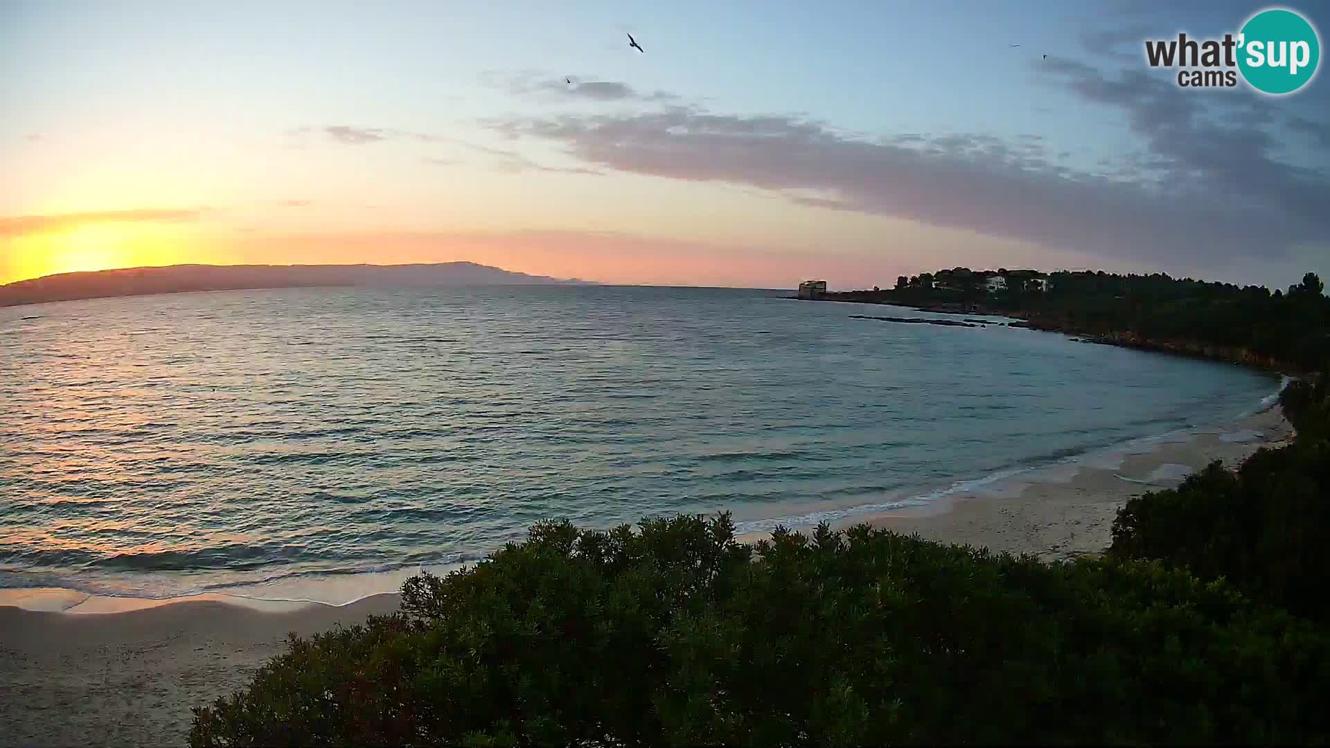 Webcam spiaggia Lazzaretto | Alghero | Sardegna