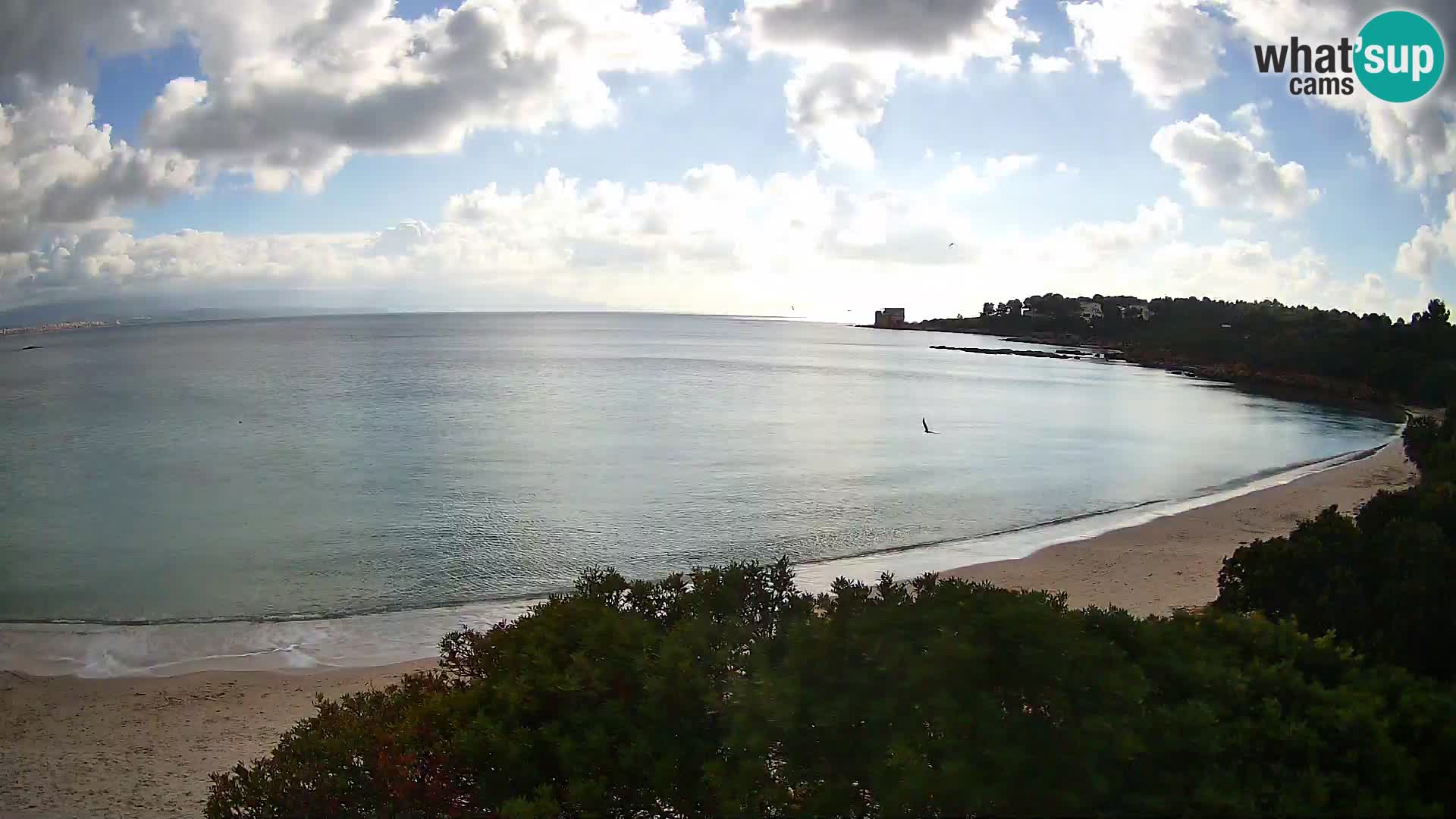 Webcam spiaggia Lazzaretto | Alghero | Sardegna