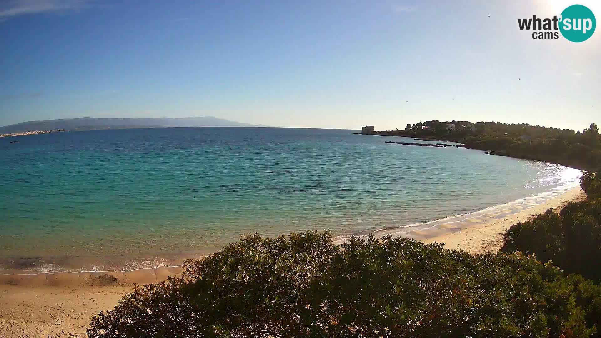 Kamera plaža Lazzaretto | Alghero | Sardinija