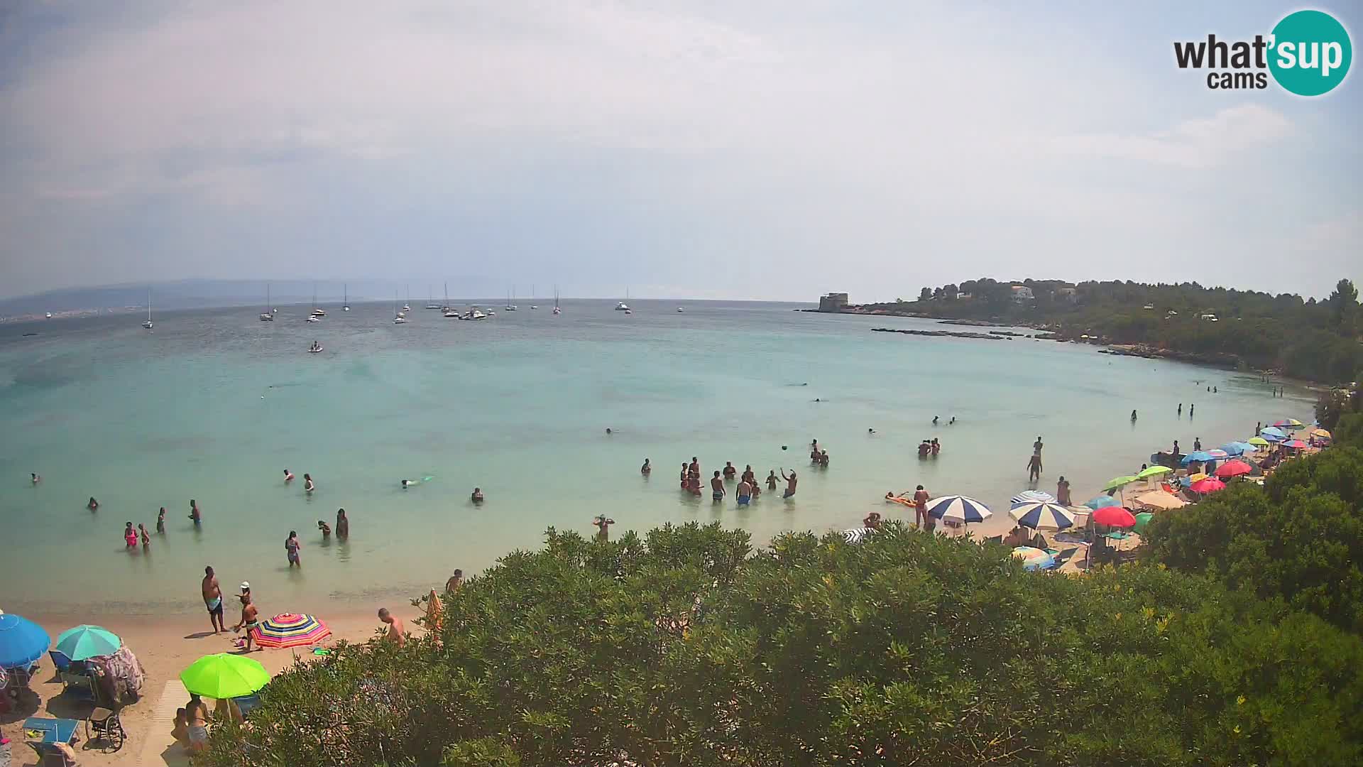 Plage Lazzaretto livecam | Alghero | Sardaigne
