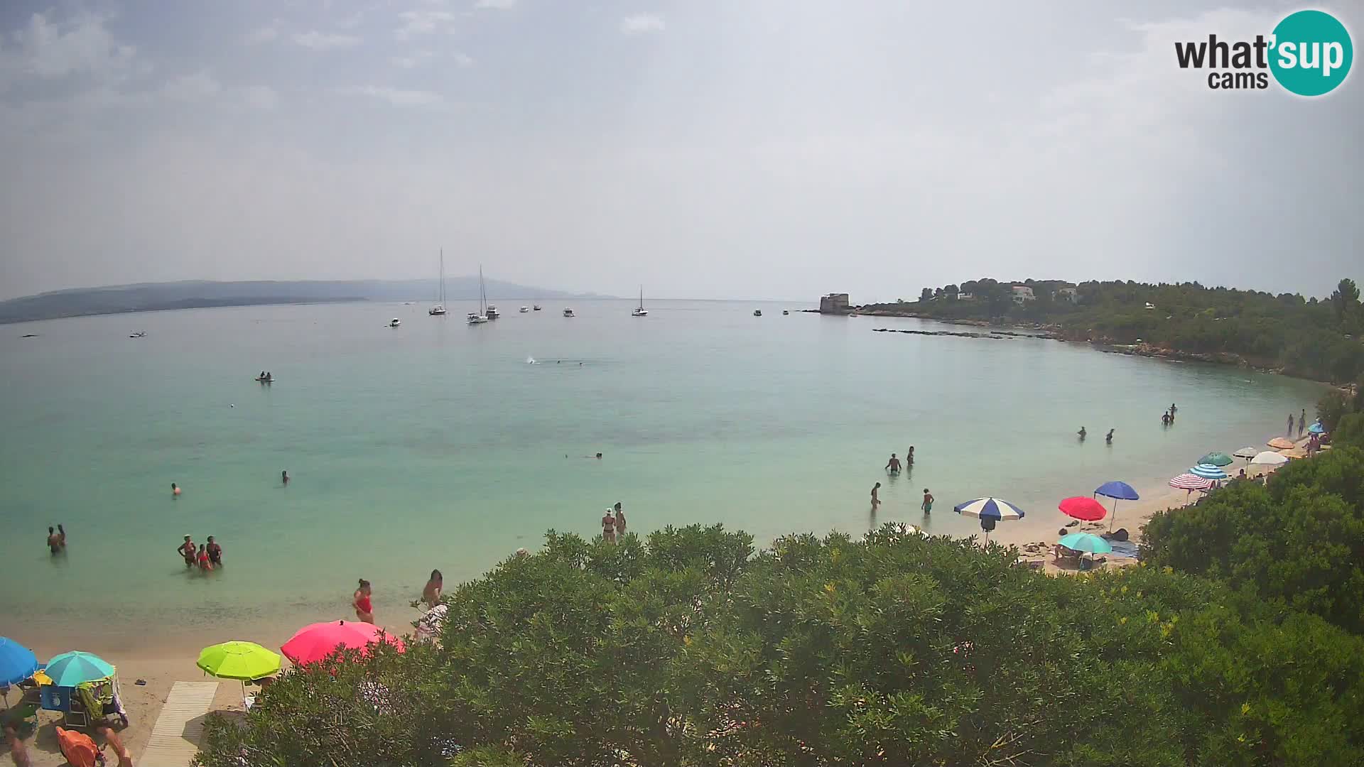 Plage Lazzaretto livecam | Alghero | Sardaigne