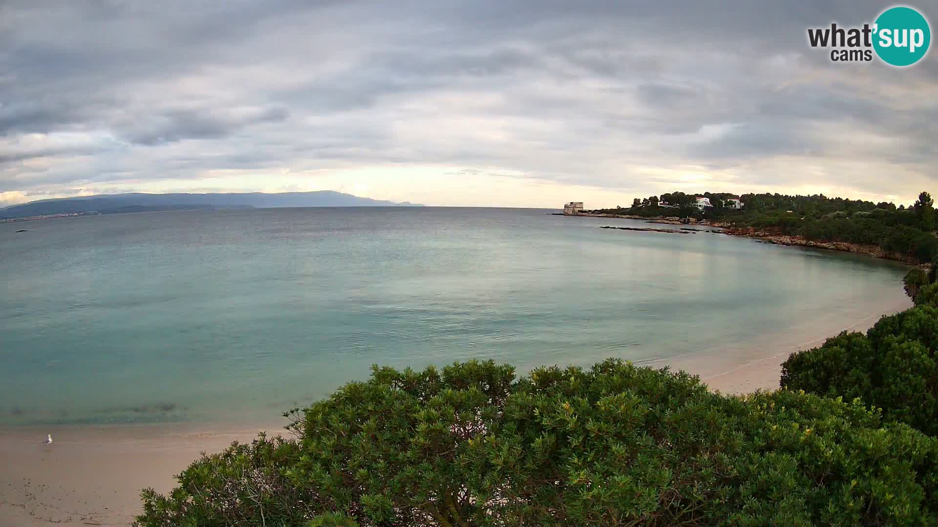 Plage Lazzaretto livecam | Alghero | Sardaigne