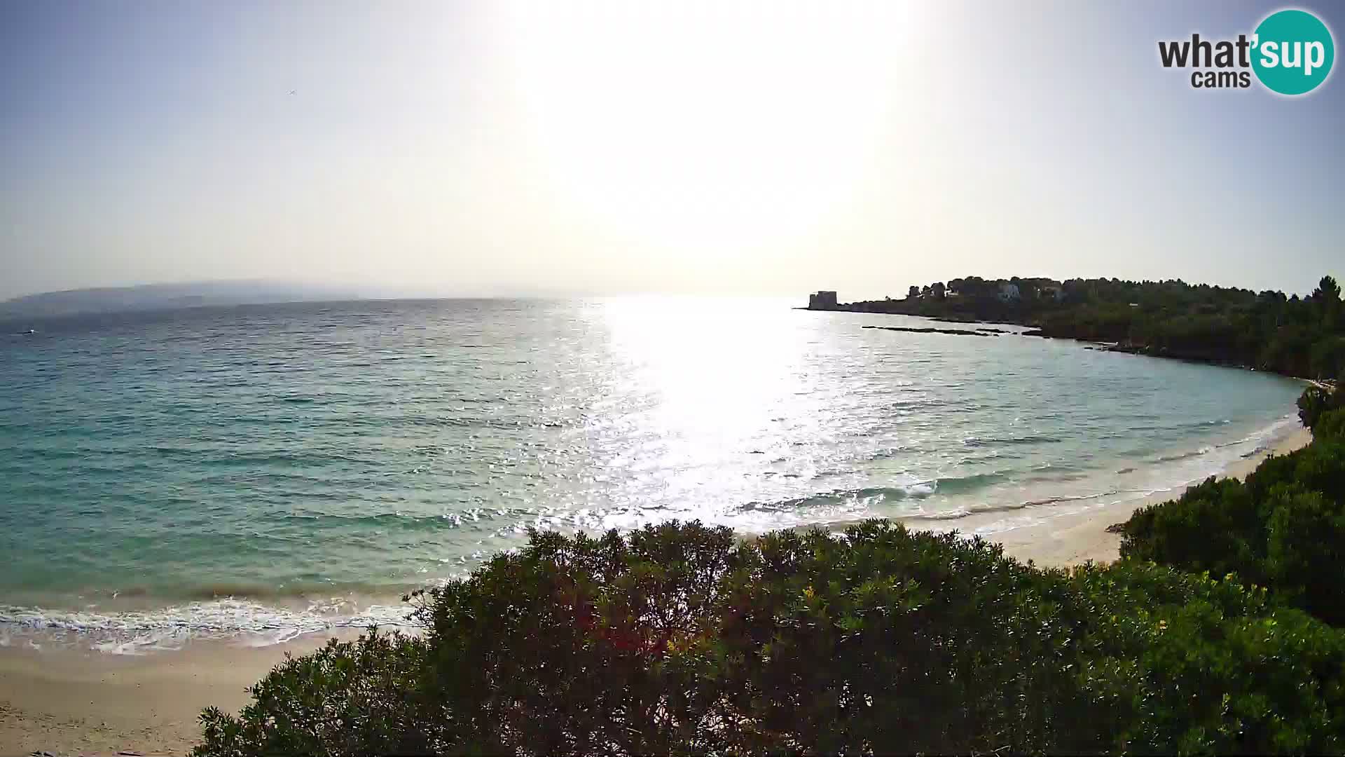 Plage Lazzaretto livecam | Alghero | Sardaigne