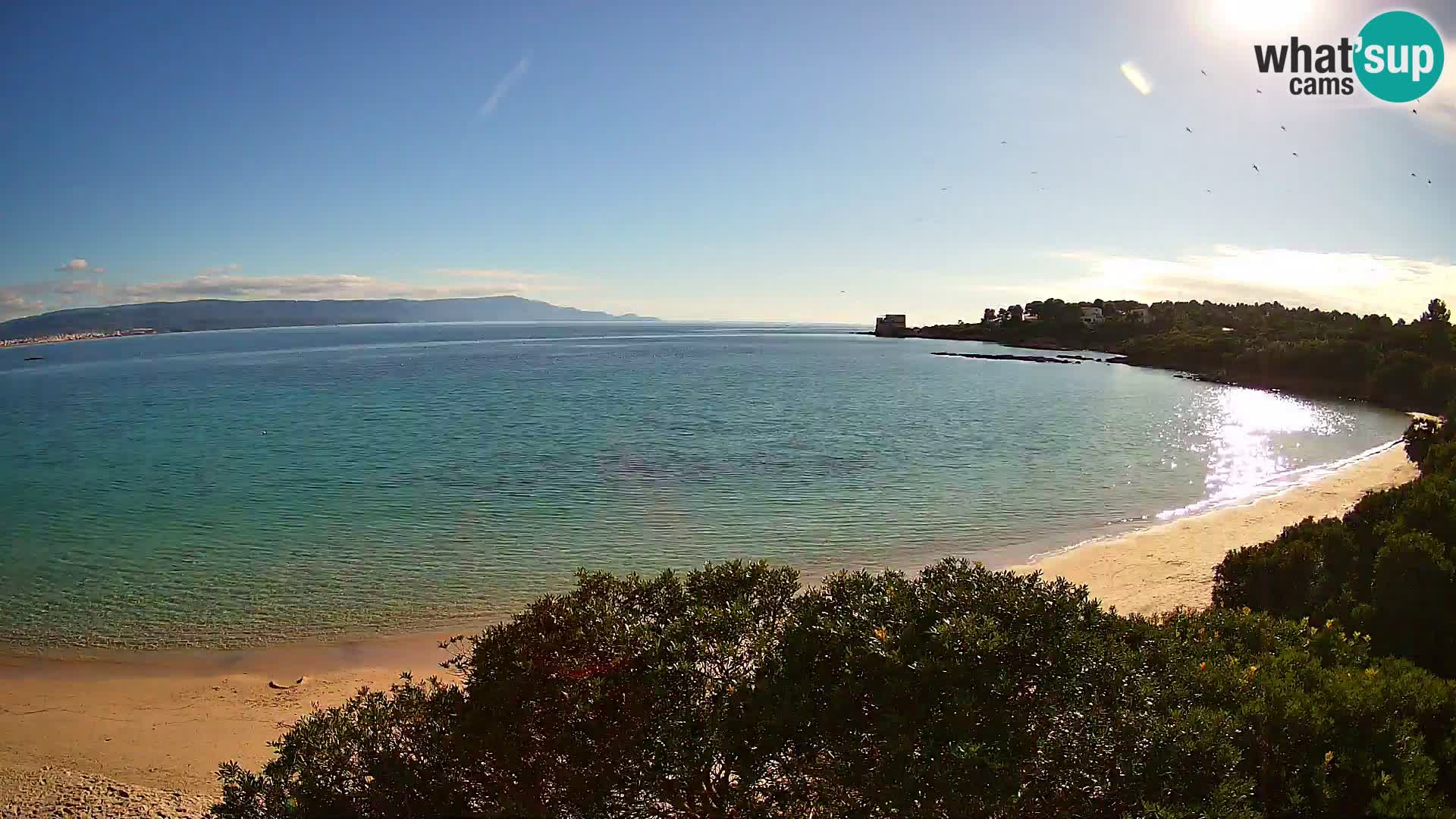 Webcam Lazzaretto beach | Alghero | Sardinia