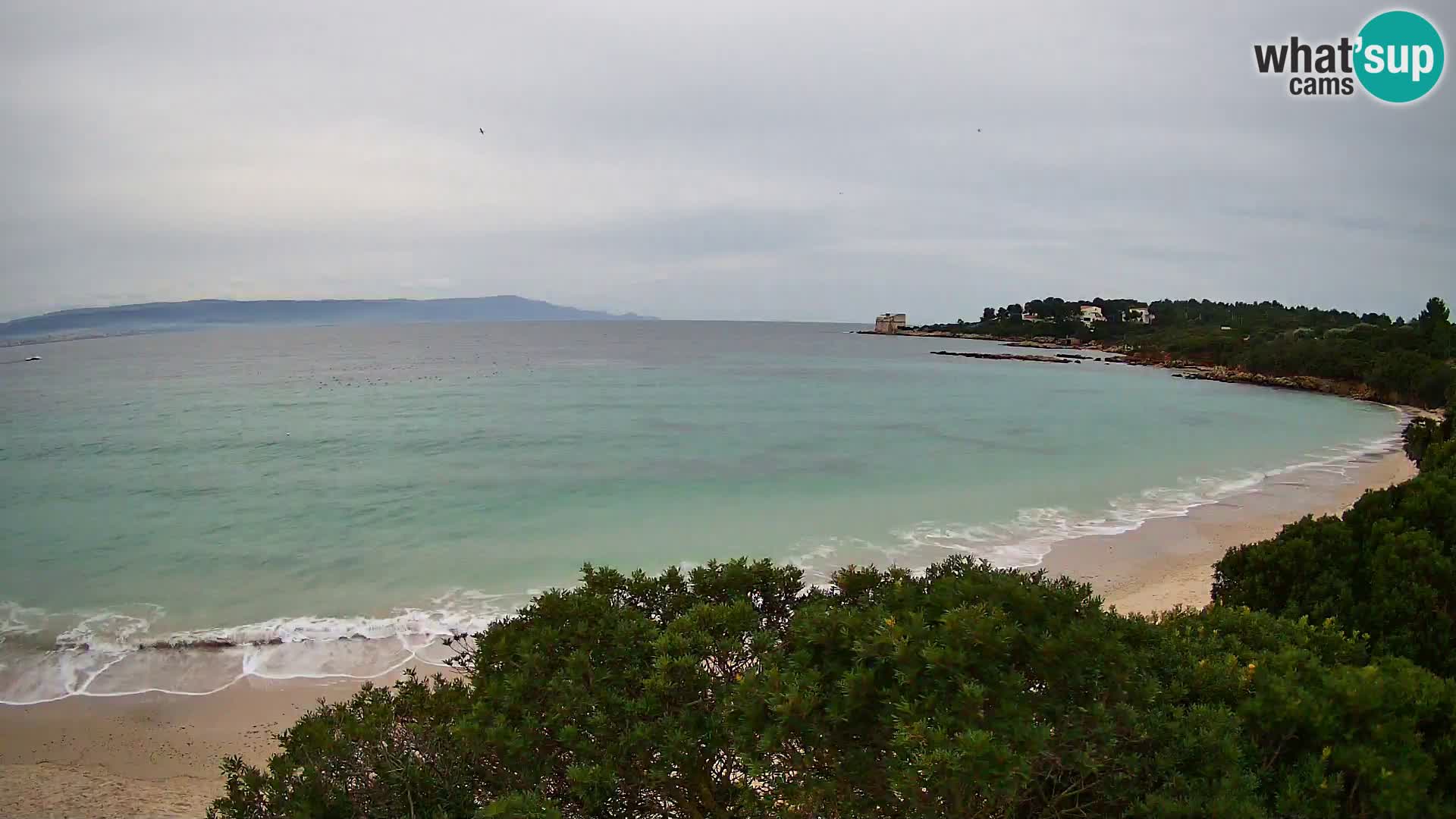 Kamera plaža Lazzaretto | Alghero | Sardinija