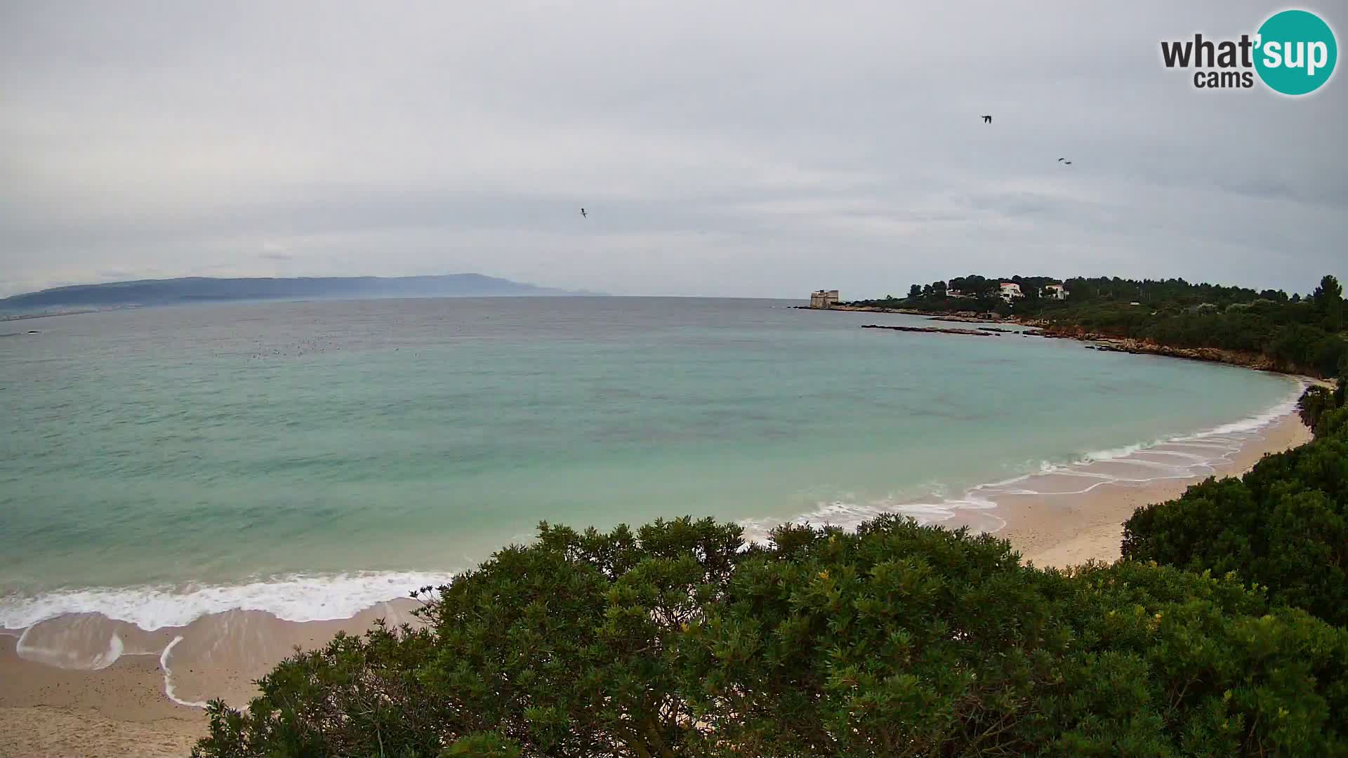 Webcam Lazzaretto Strand | Alghero | Sardinien