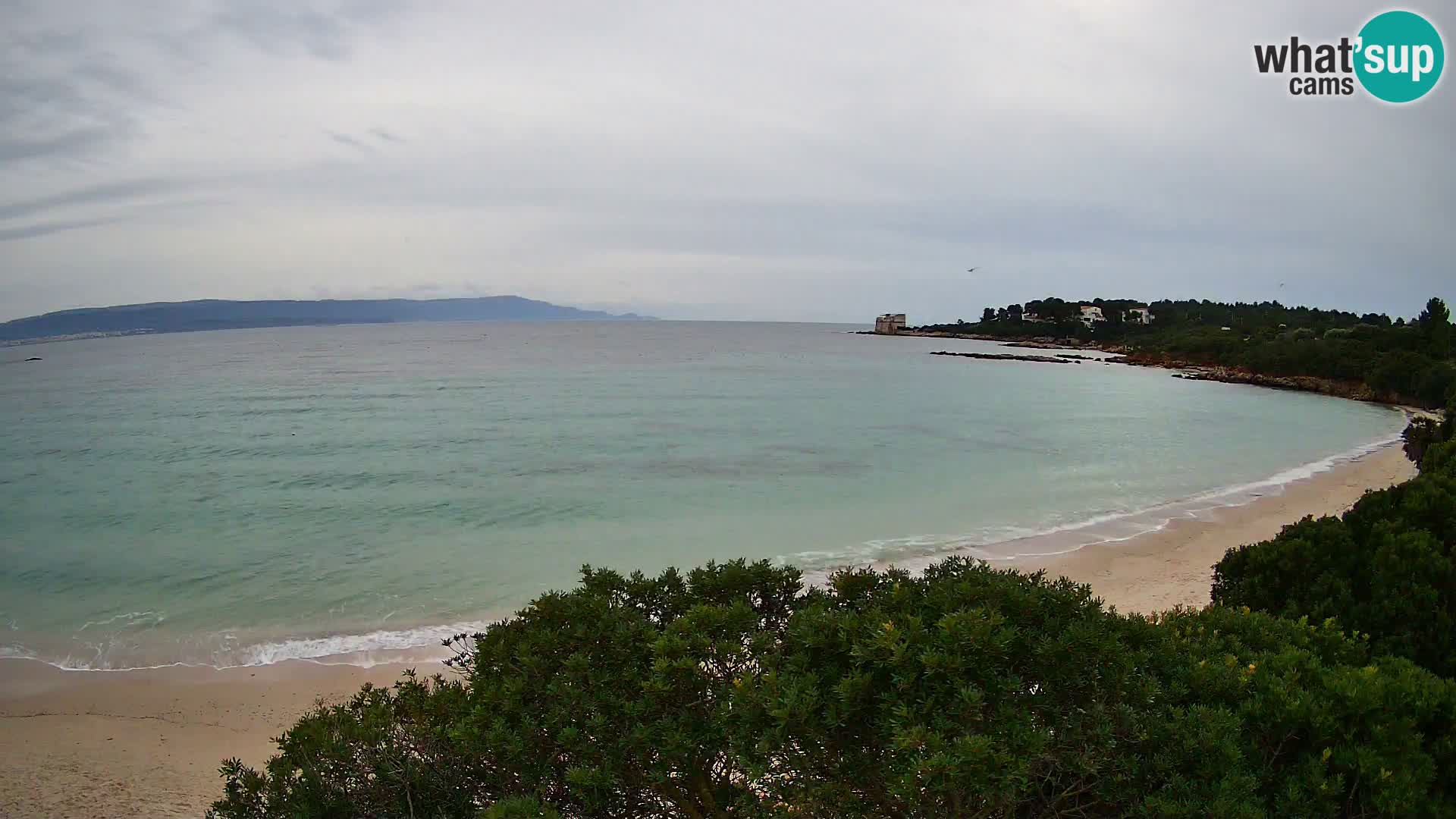 Webcam Lazzaretto beach | Alghero | Sardinia