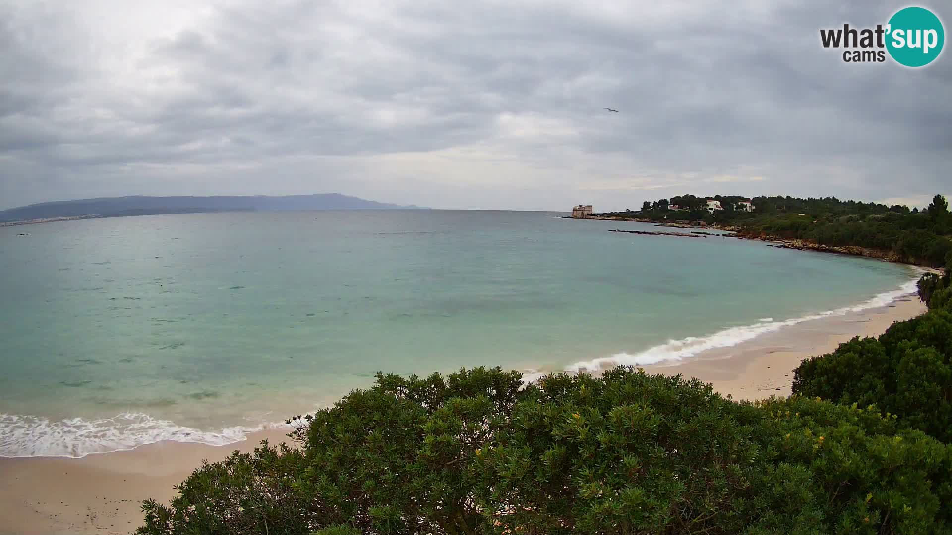 Webcam Lazzaretto beach | Alghero | Sardinia