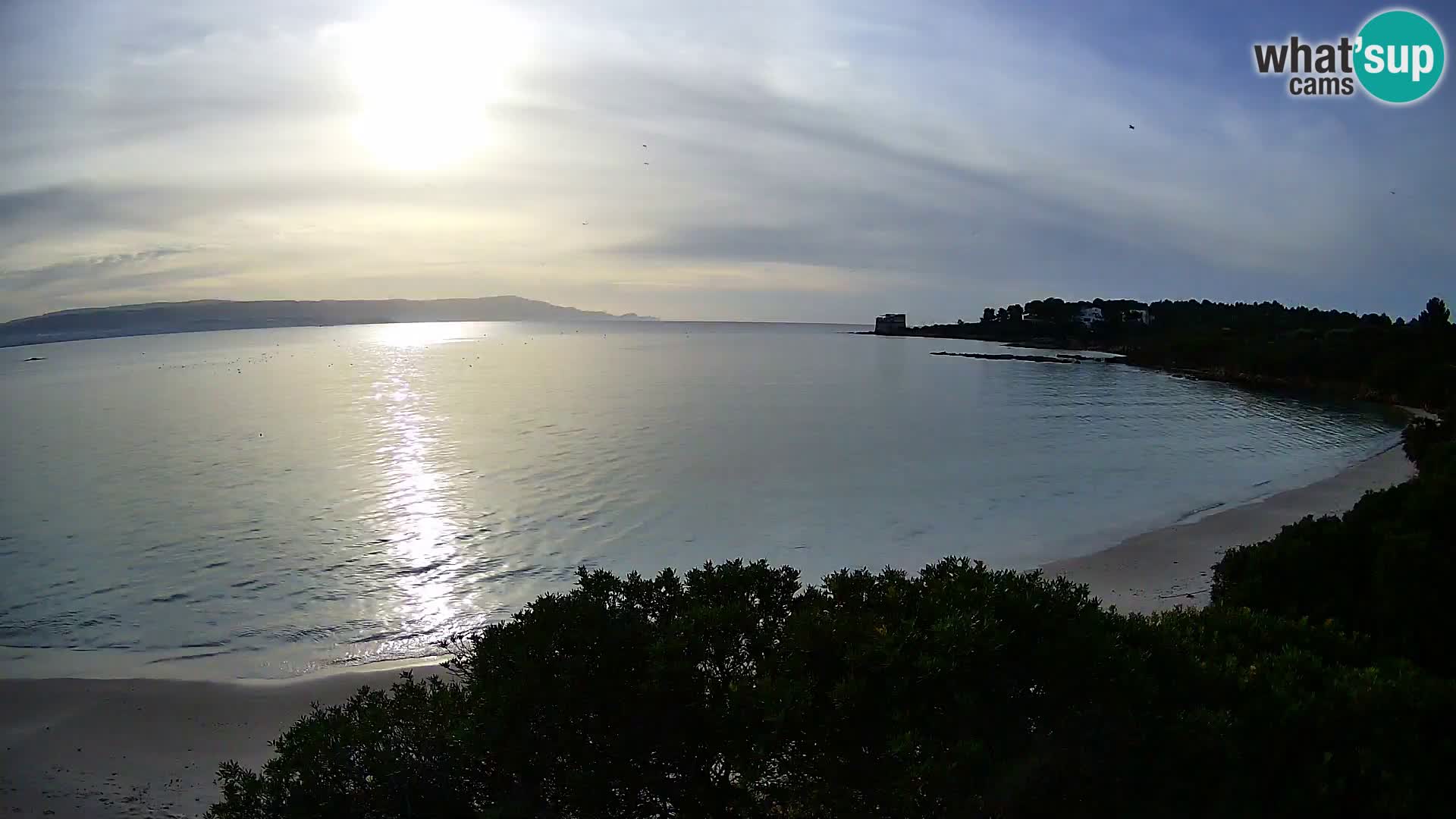 Webcam spiaggia Lazzaretto | Alghero | Sardegna