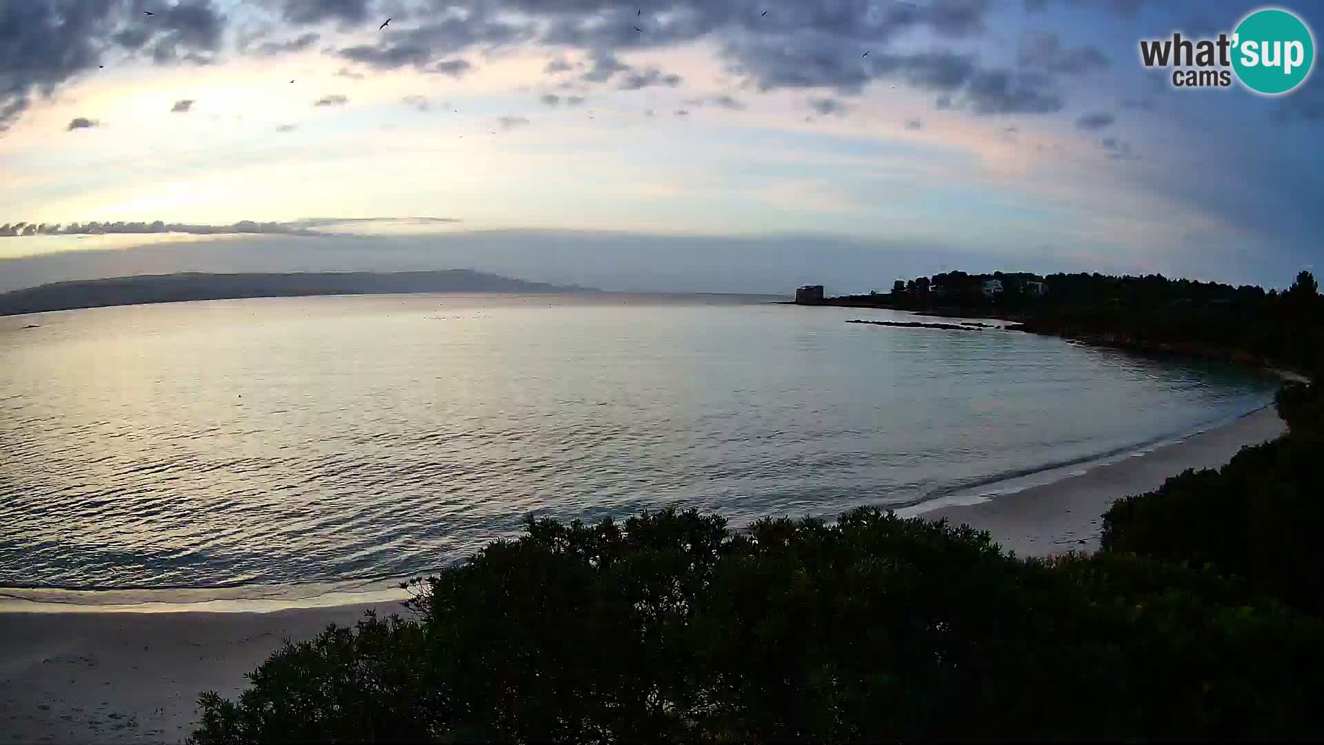 Webcam Lazzaretto beach | Alghero | Sardinia