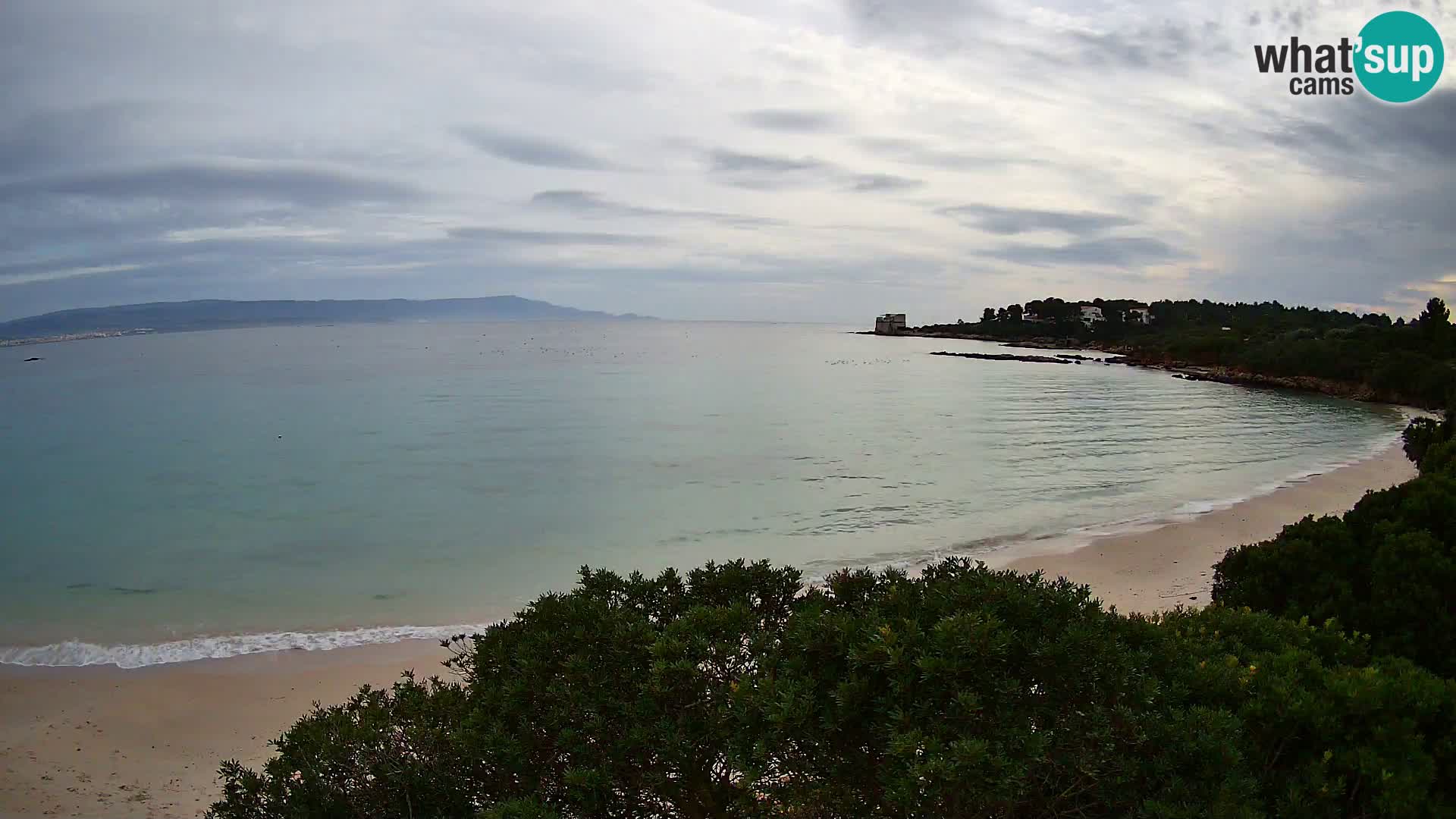 Webcam spiaggia Lazzaretto | Alghero | Sardegna