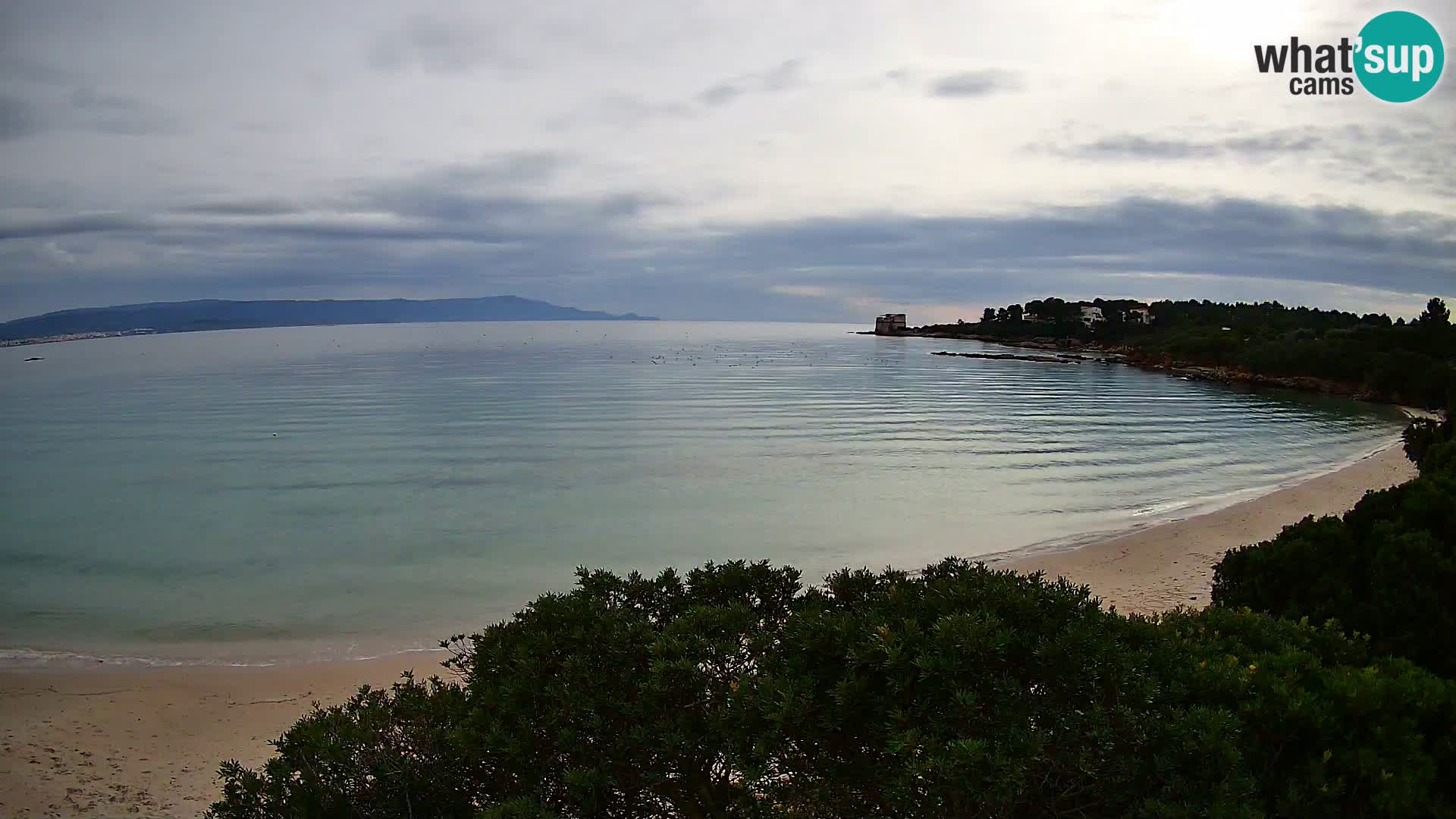 Webcam spiaggia Lazzaretto | Alghero | Sardegna