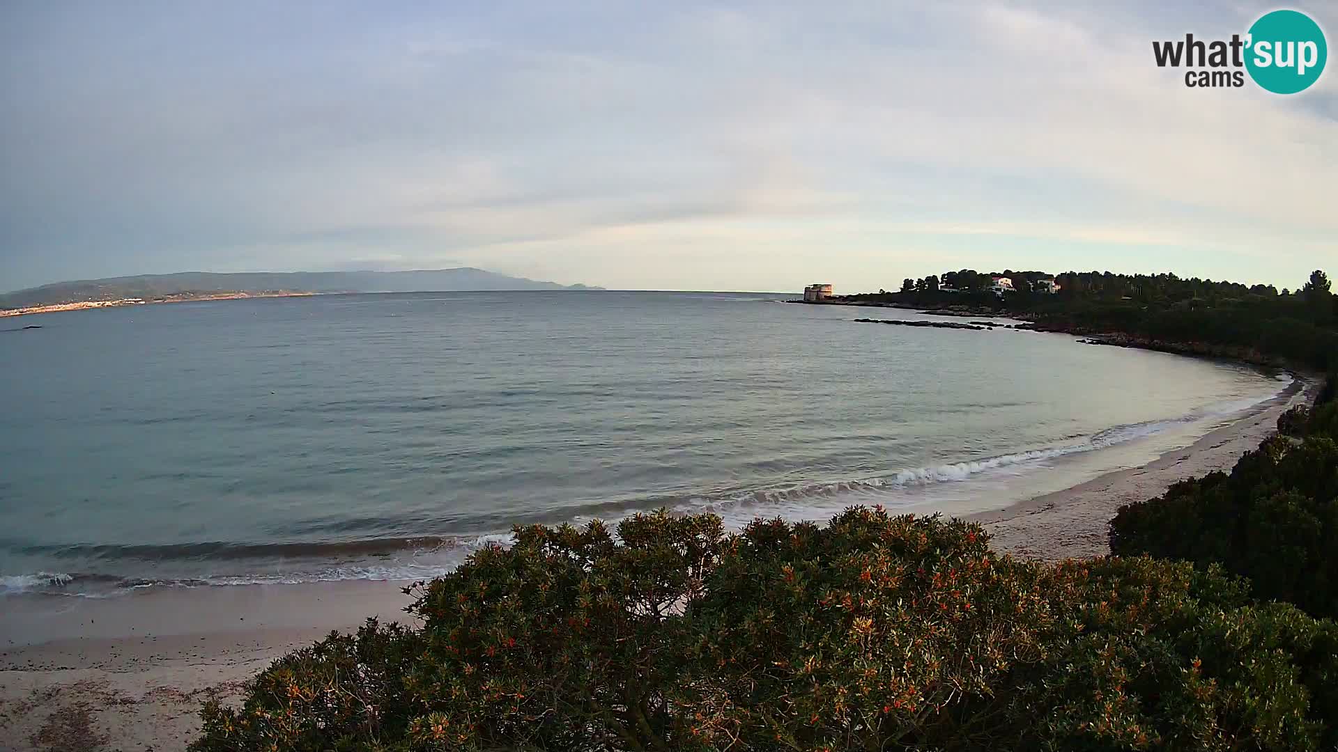 Webcam spiaggia Lazzaretto | Alghero | Sardegna