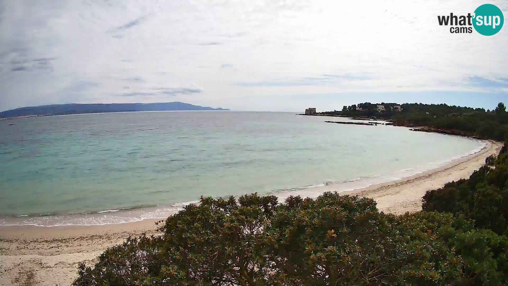 Webcam spiaggia Lazzaretto | Alghero | Sardegna