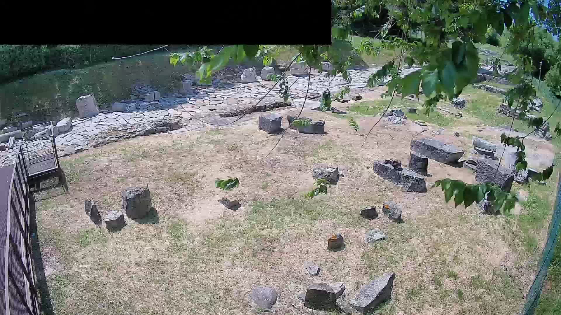 Aquileia – Decumano di Aratria Galla