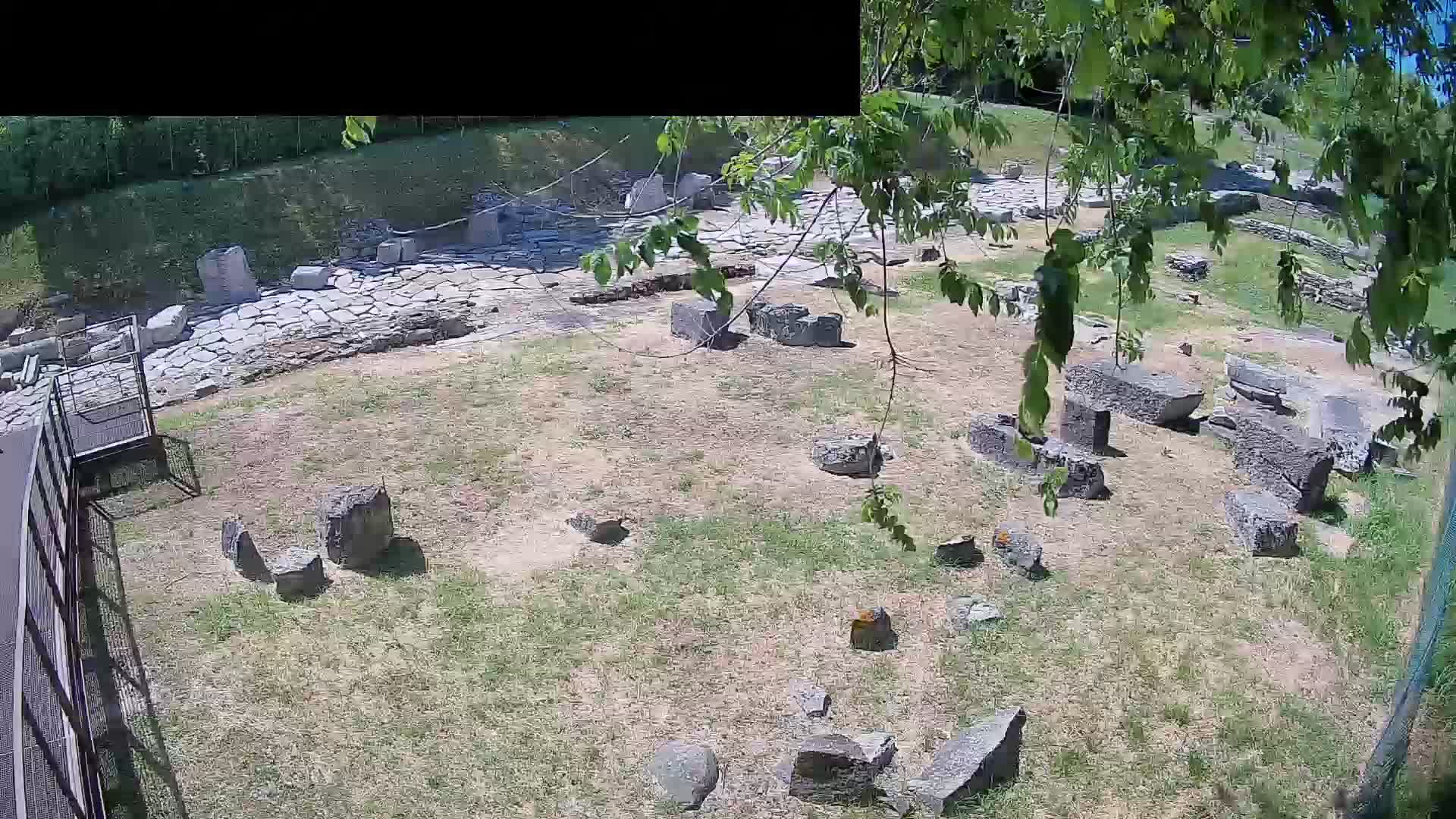 Aquileia – Decumano di Aratria Galla