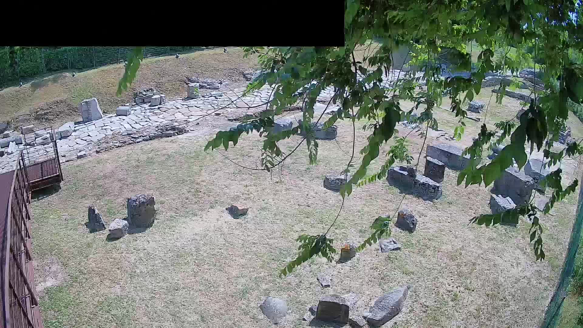 Aquileia – Decumano di Aratria Galla