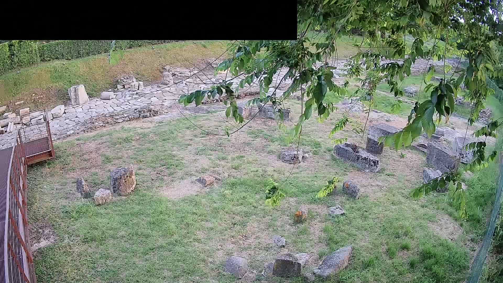 Akvileja – Decumano di Aratria Galla