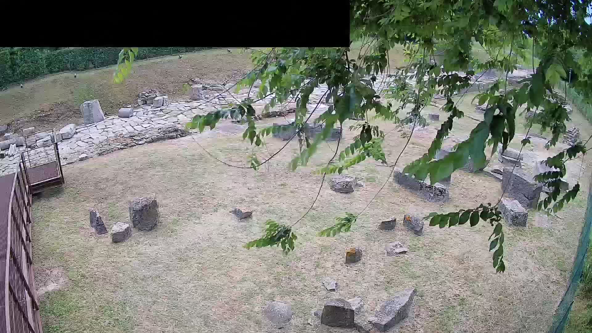 Aquileia – Decumano di Aratria Galla