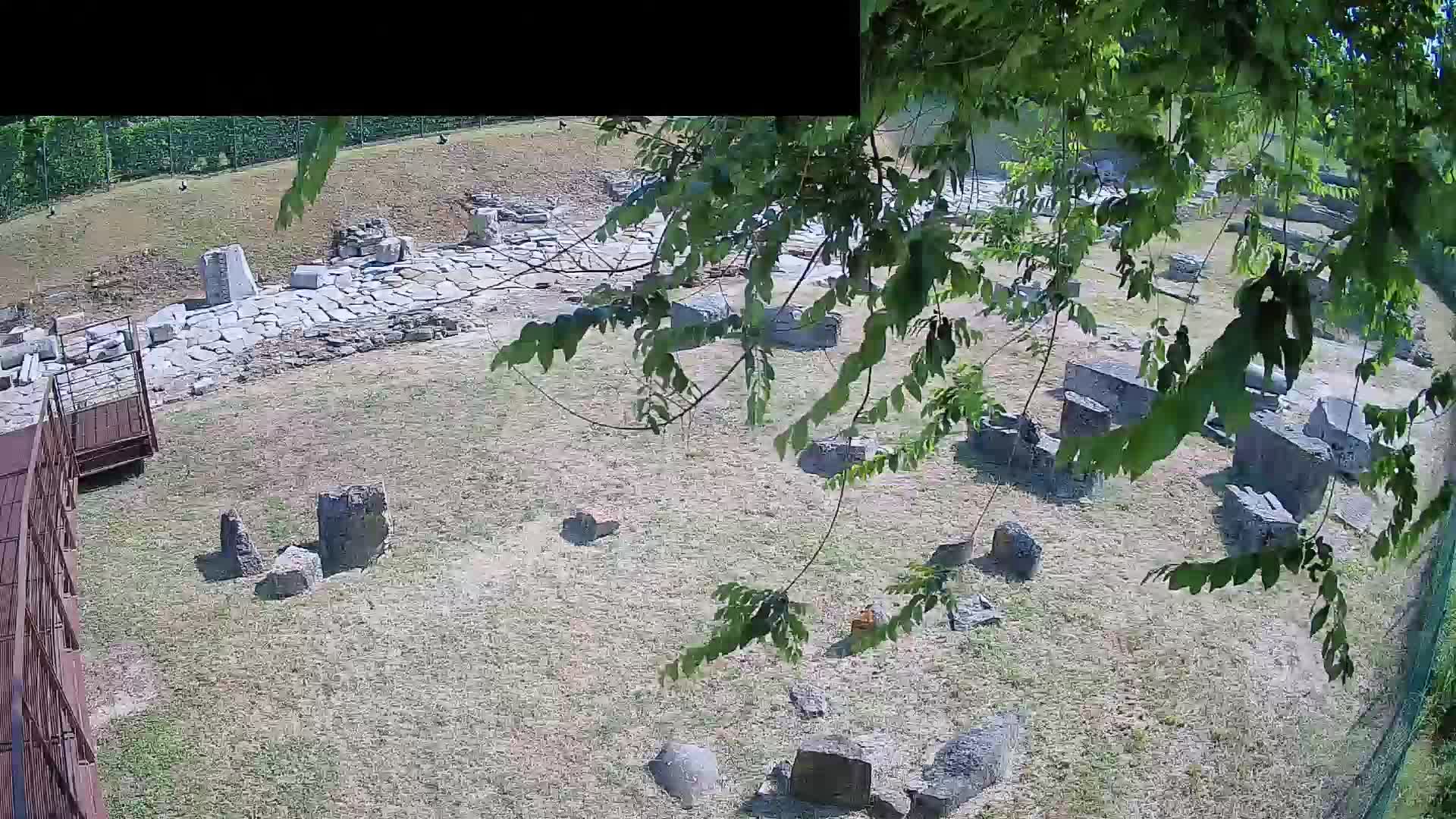 Aquileia – Decumano di Aratria Galla