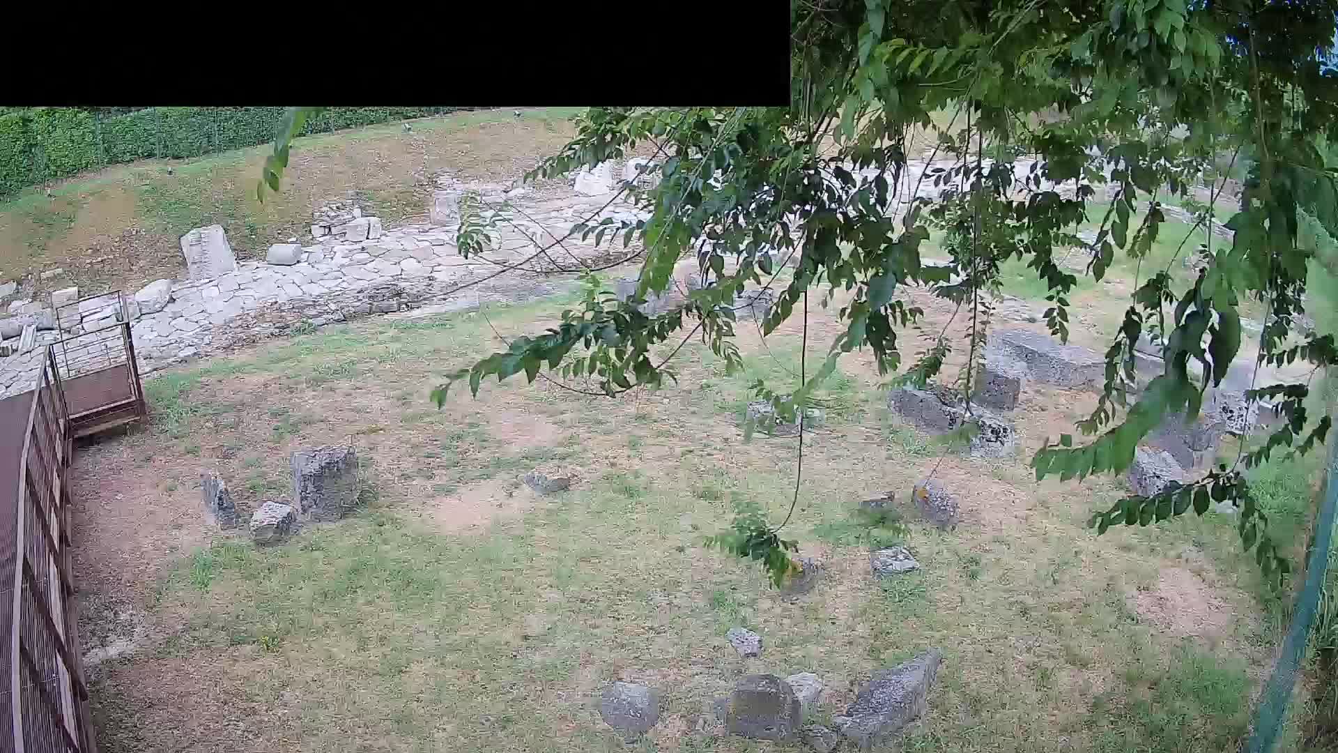 Akvileja – Decumano di Aratria Galla