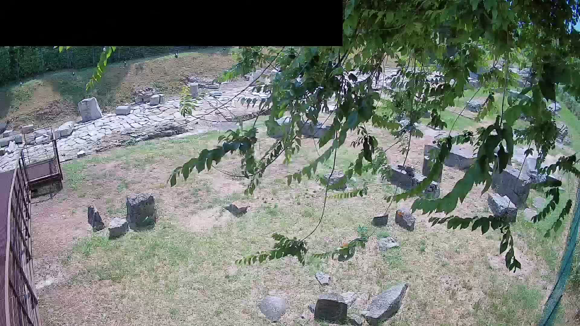 Aquileia – Decumano di Aratria Galla