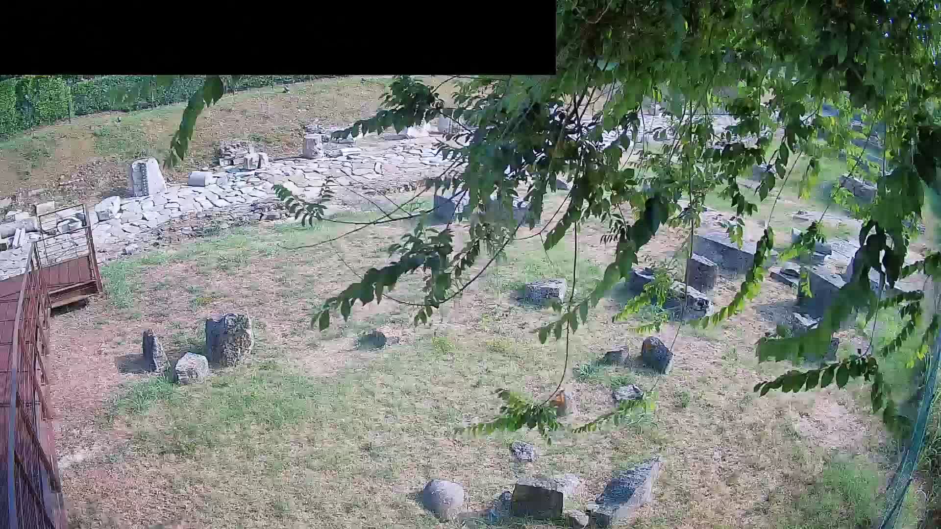 Akvileja – Decumano di Aratria Galla