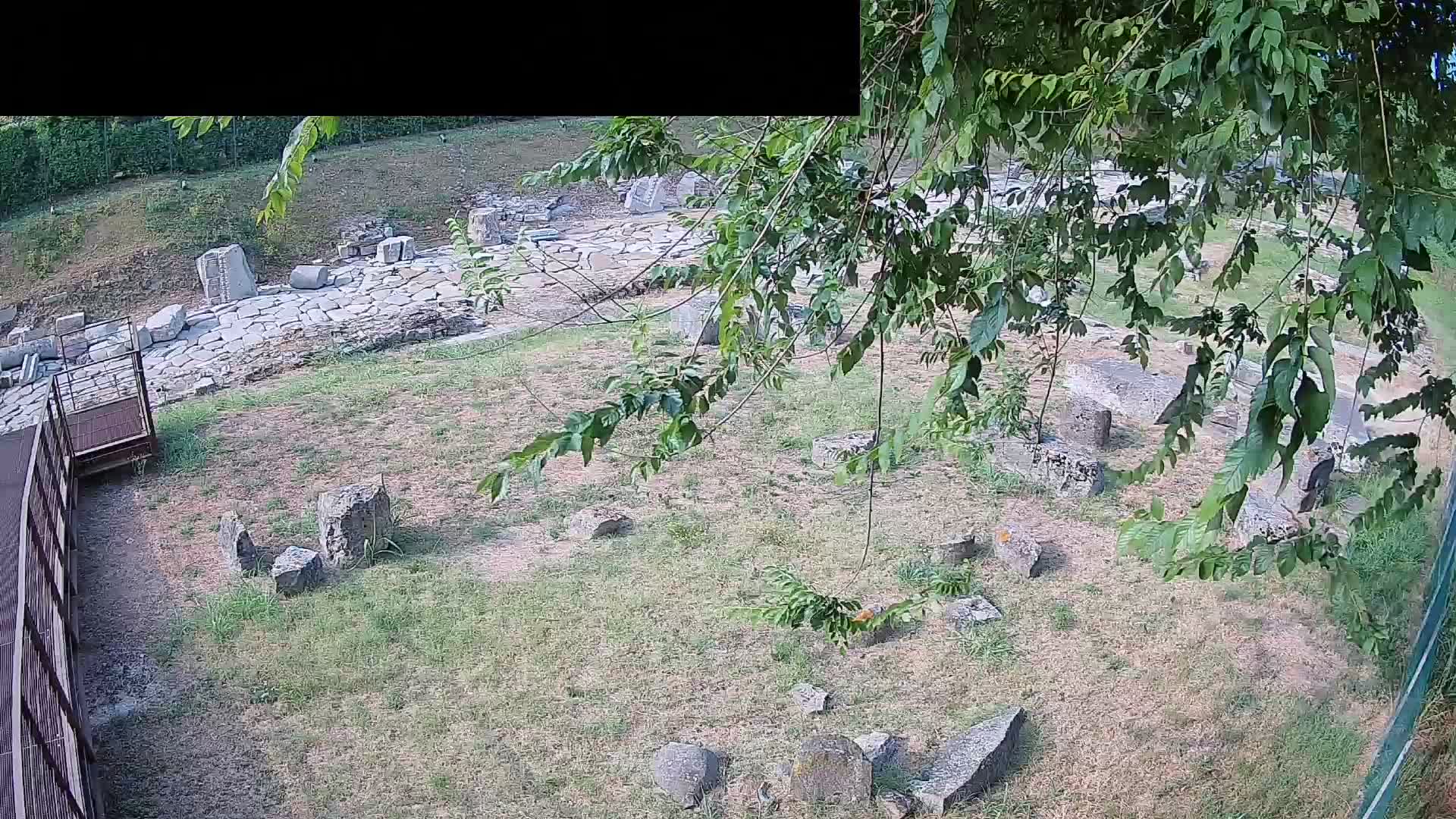 Aquileia – Decumano di Aratria Galla