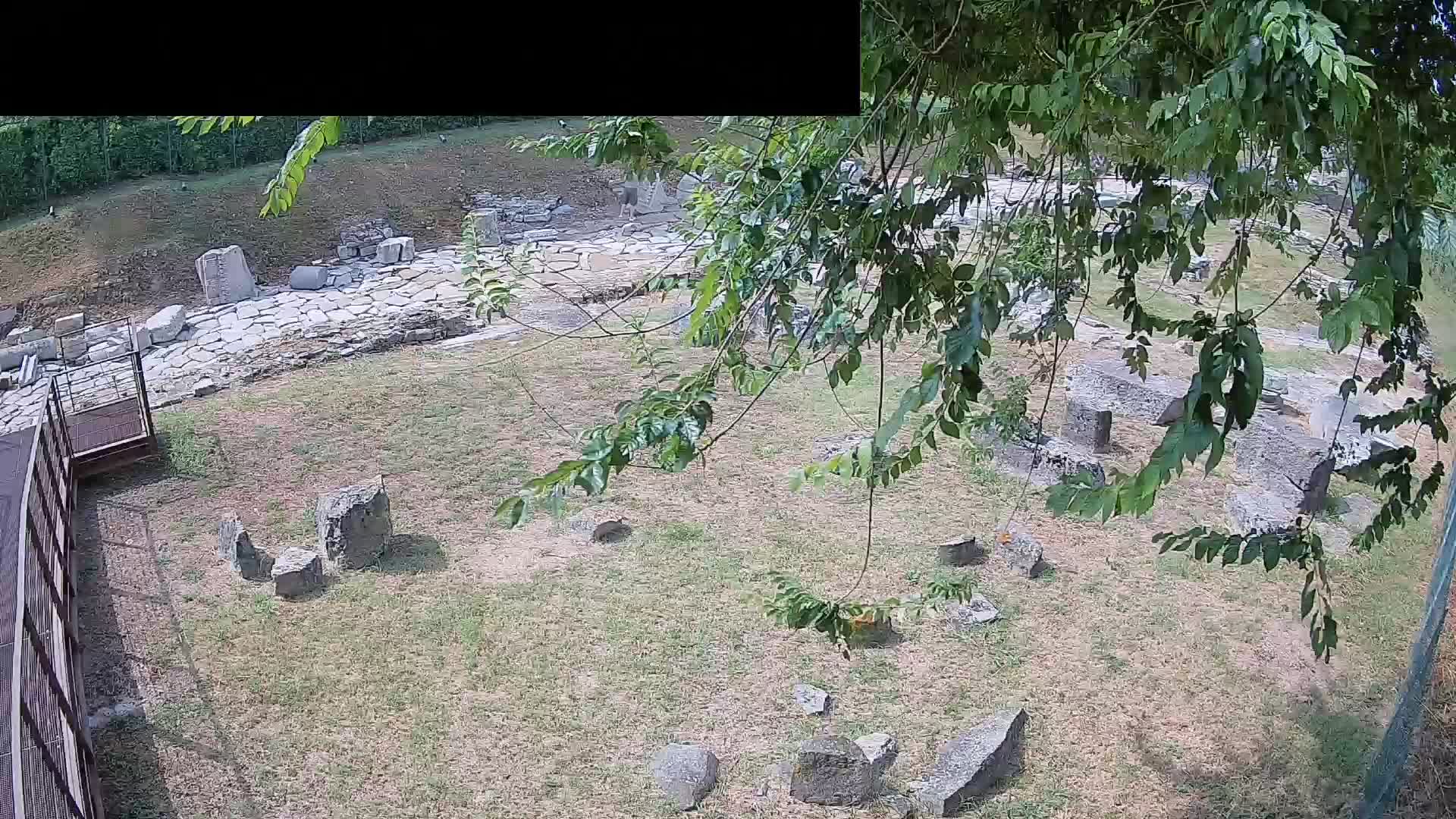 Aquileia – Decumano di Aratria Galla