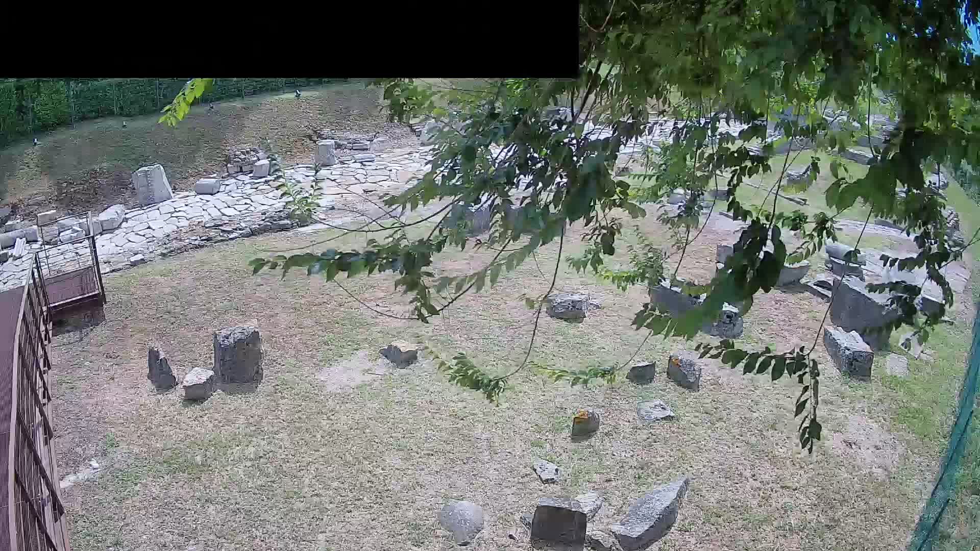 Aquileia – Decumano di Aratria Galla