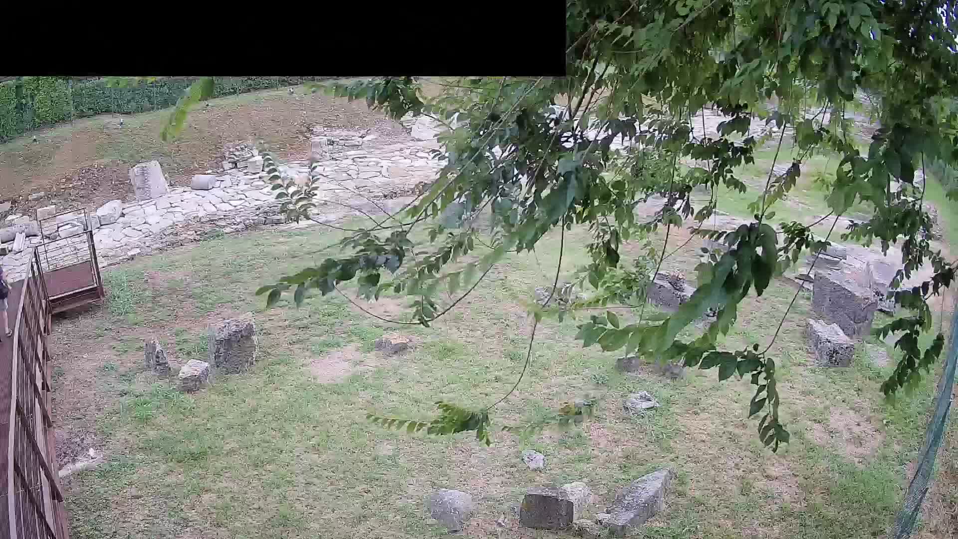 Aquileia – Decumano di Aratria Galla