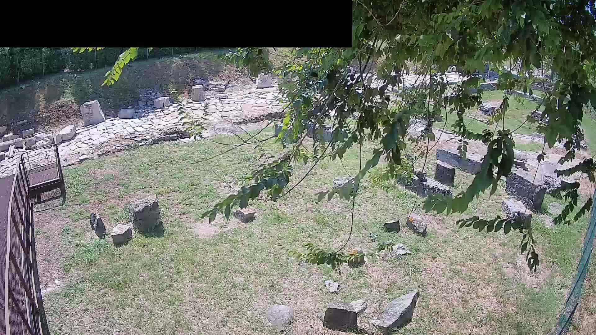 Aquileia – Decumano di Aratria Galla