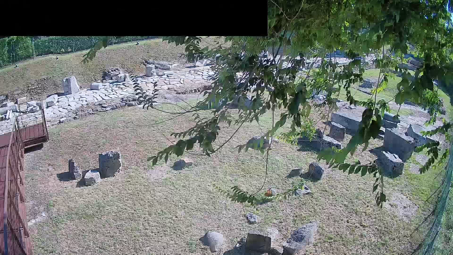 Aquileia – Decumano di Aratria Galla