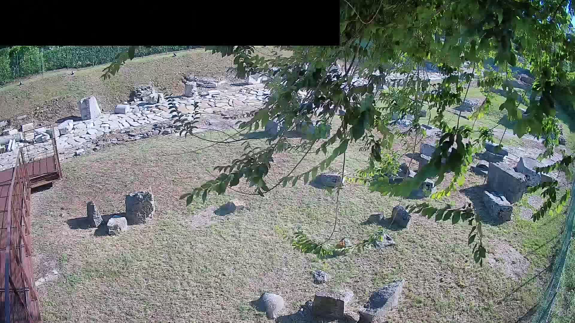 Aquileia – Decumano di Aratria Galla