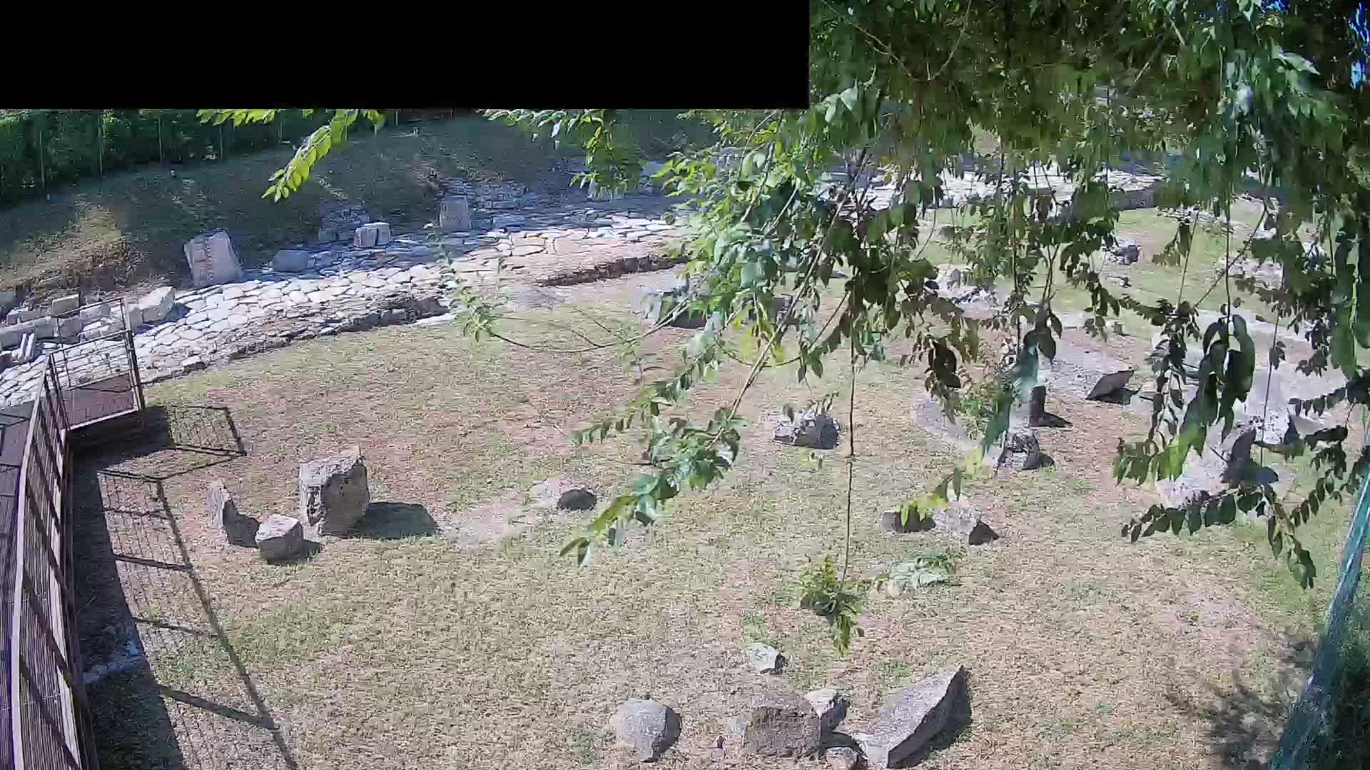 Aquileia – Decumano di Aratria Galla