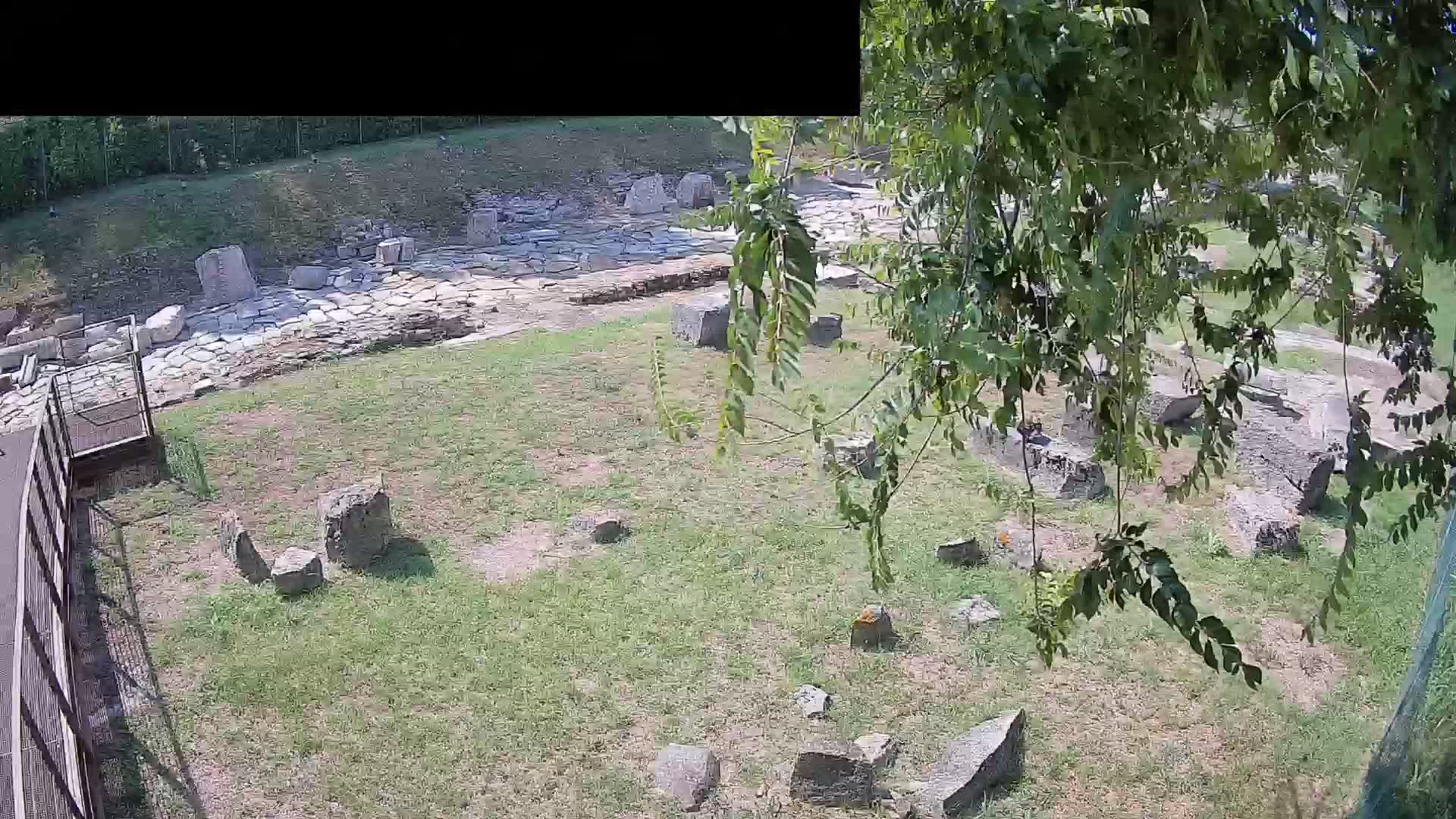 Aquileia – Decumano di Aratria Galla