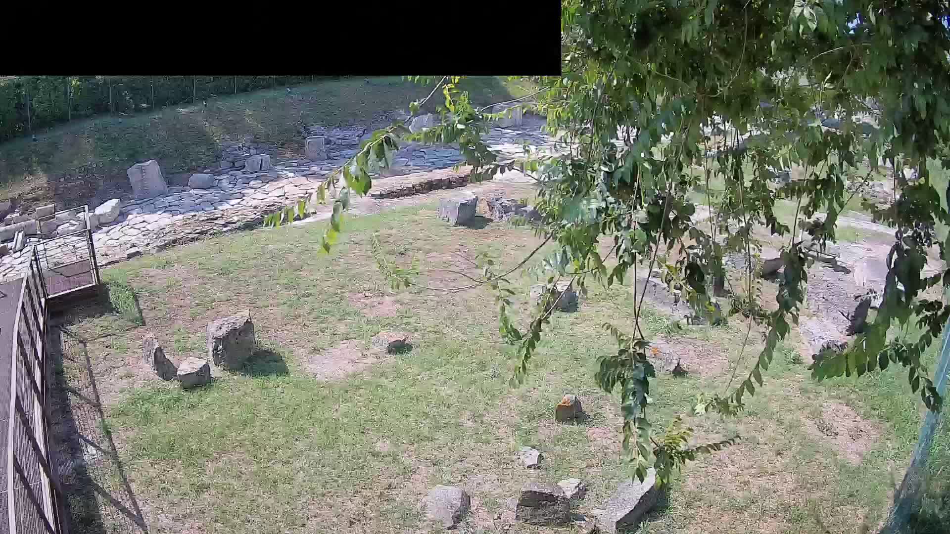 Aquileia – Decumano di Aratria Galla