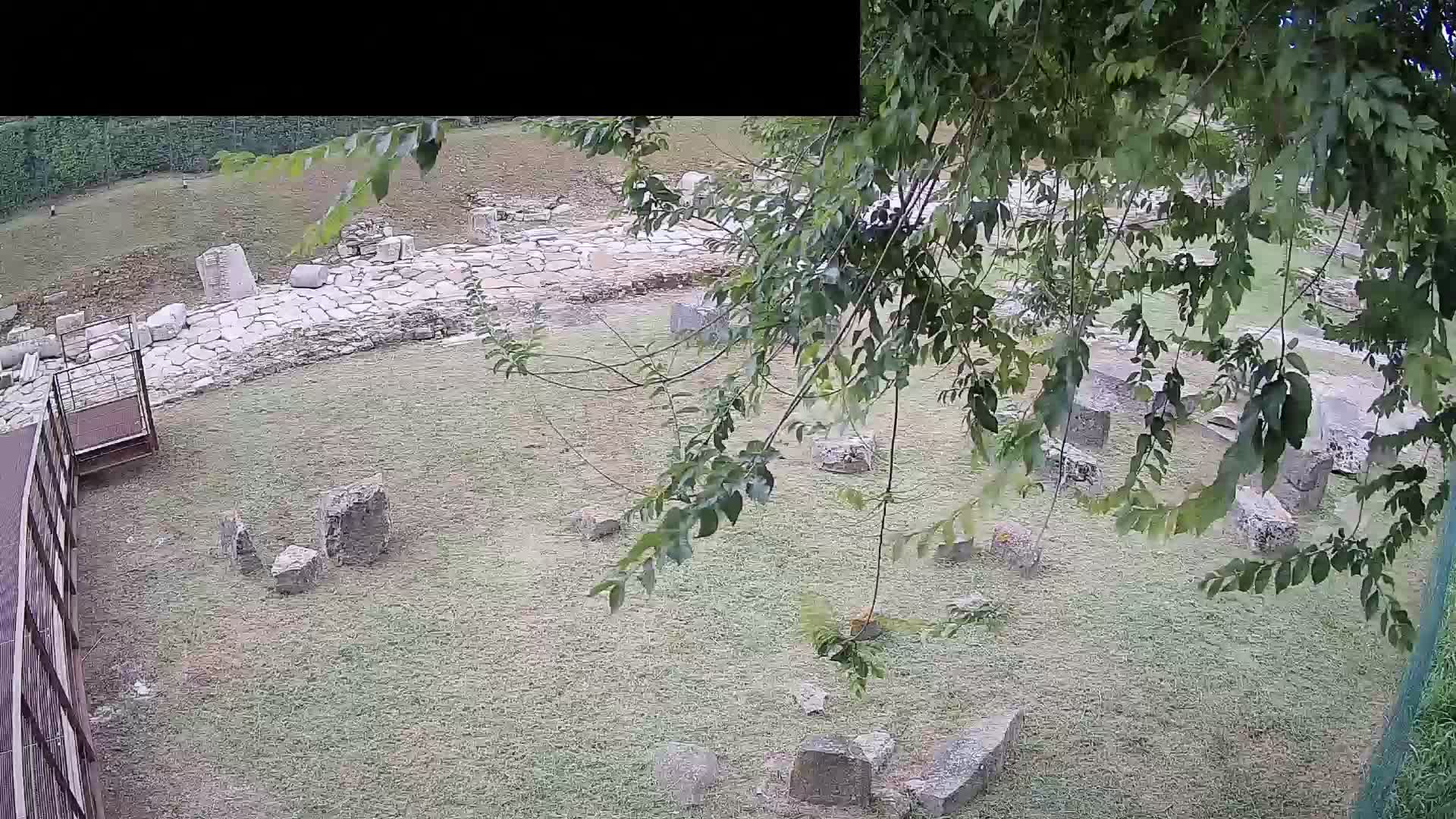 Aquileia – Decumano di Aratria Galla