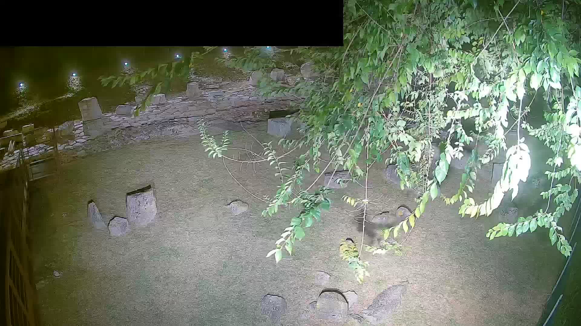 Aquileia – Decumano di Aratria Galla