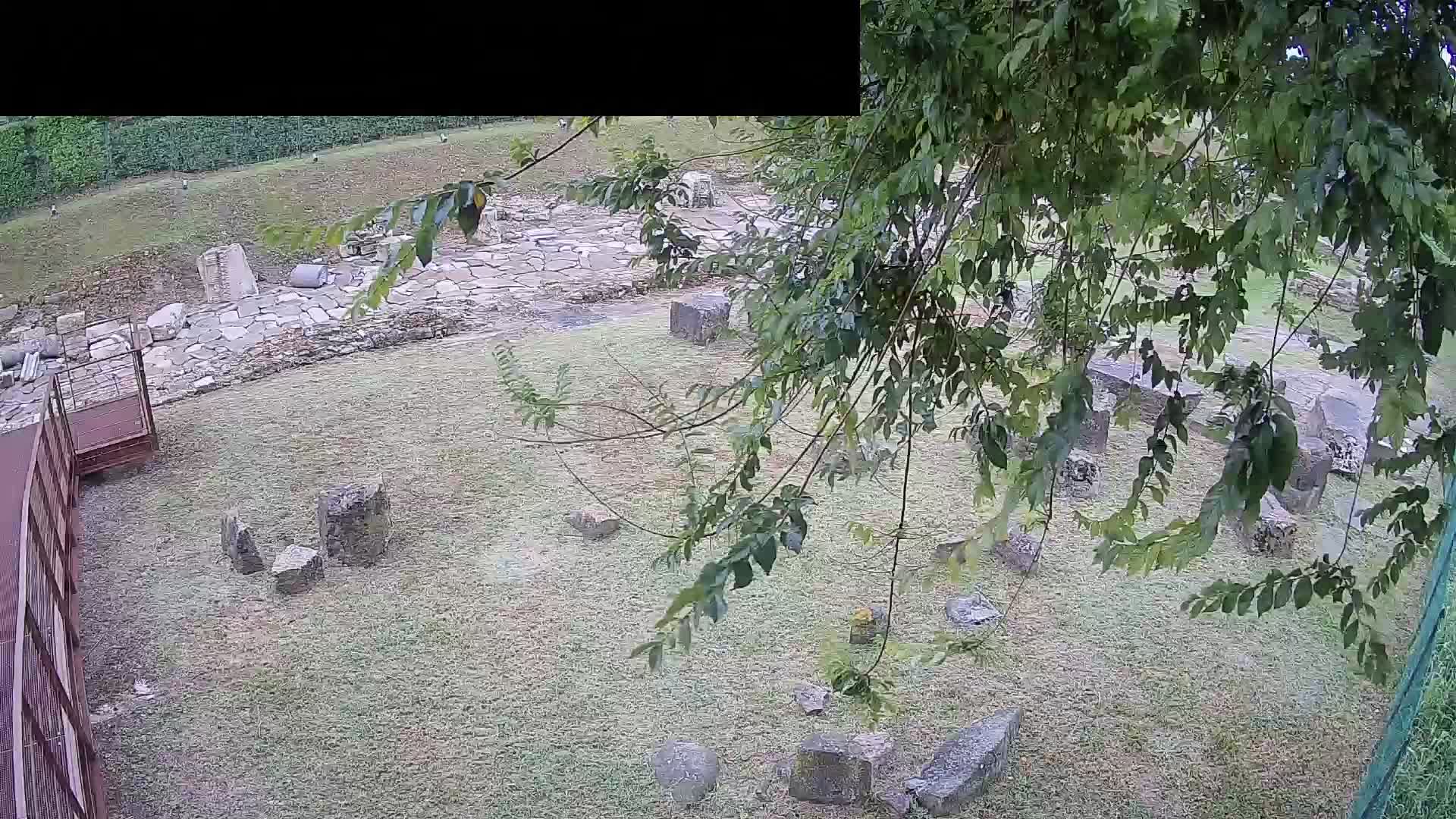 Aquileia – Decumano di Aratria Galla