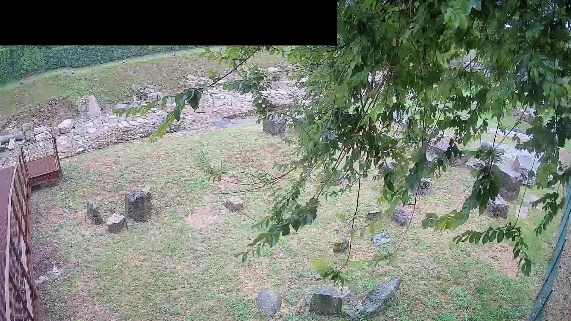 Aquileia – Decumano di Aratria Galla