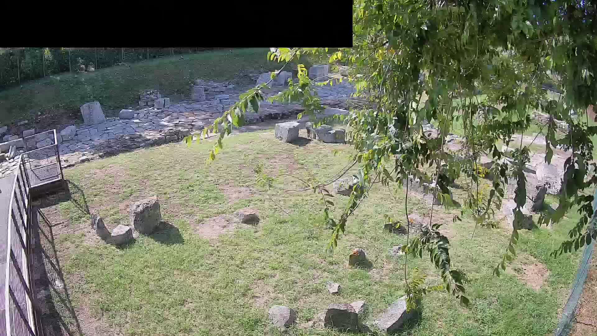 Aquileia – Decumano di Aratria Galla